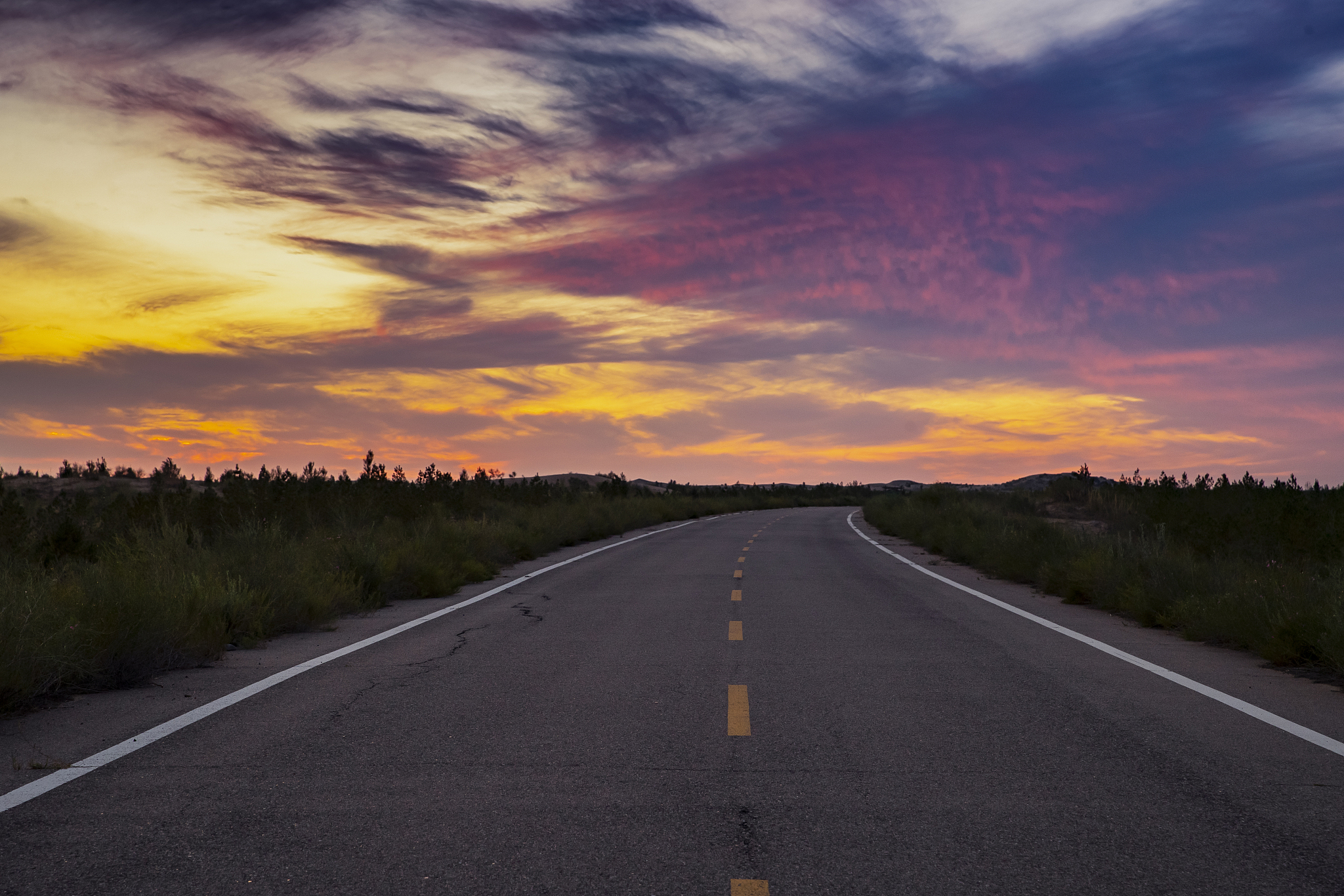 内蒙古自治区怎么申请果树补贴详细解答并扩展补充