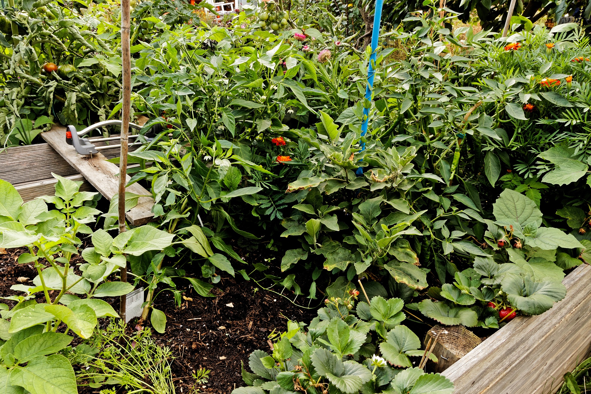 云南文山农业学校农业机械使用与维护专业2022年招生