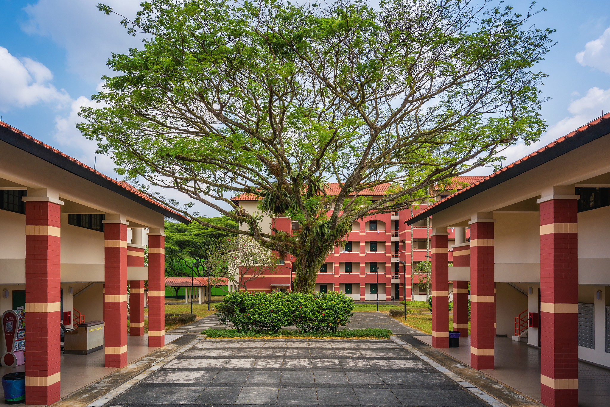 新加坡南洋理工大学建筑环境
