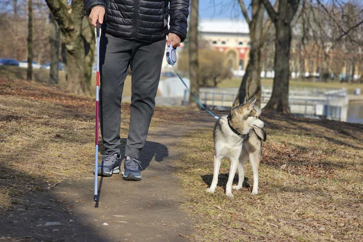 狗的来历以及狗的最终进化