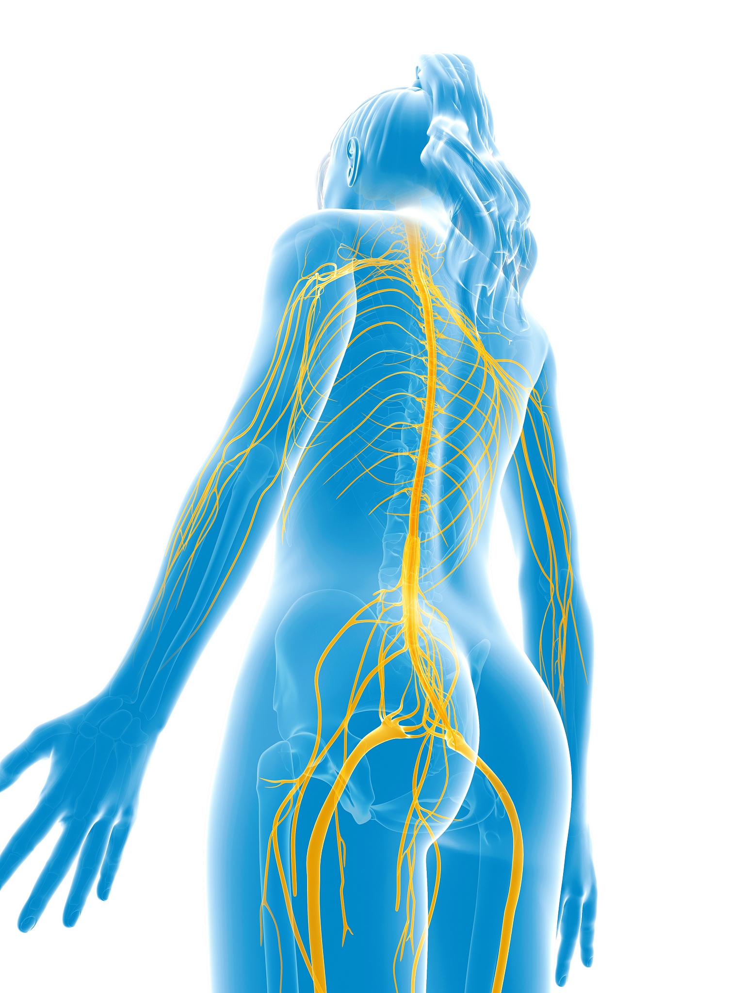 初中毕业女生热门专业推荐：未来发展方向指南