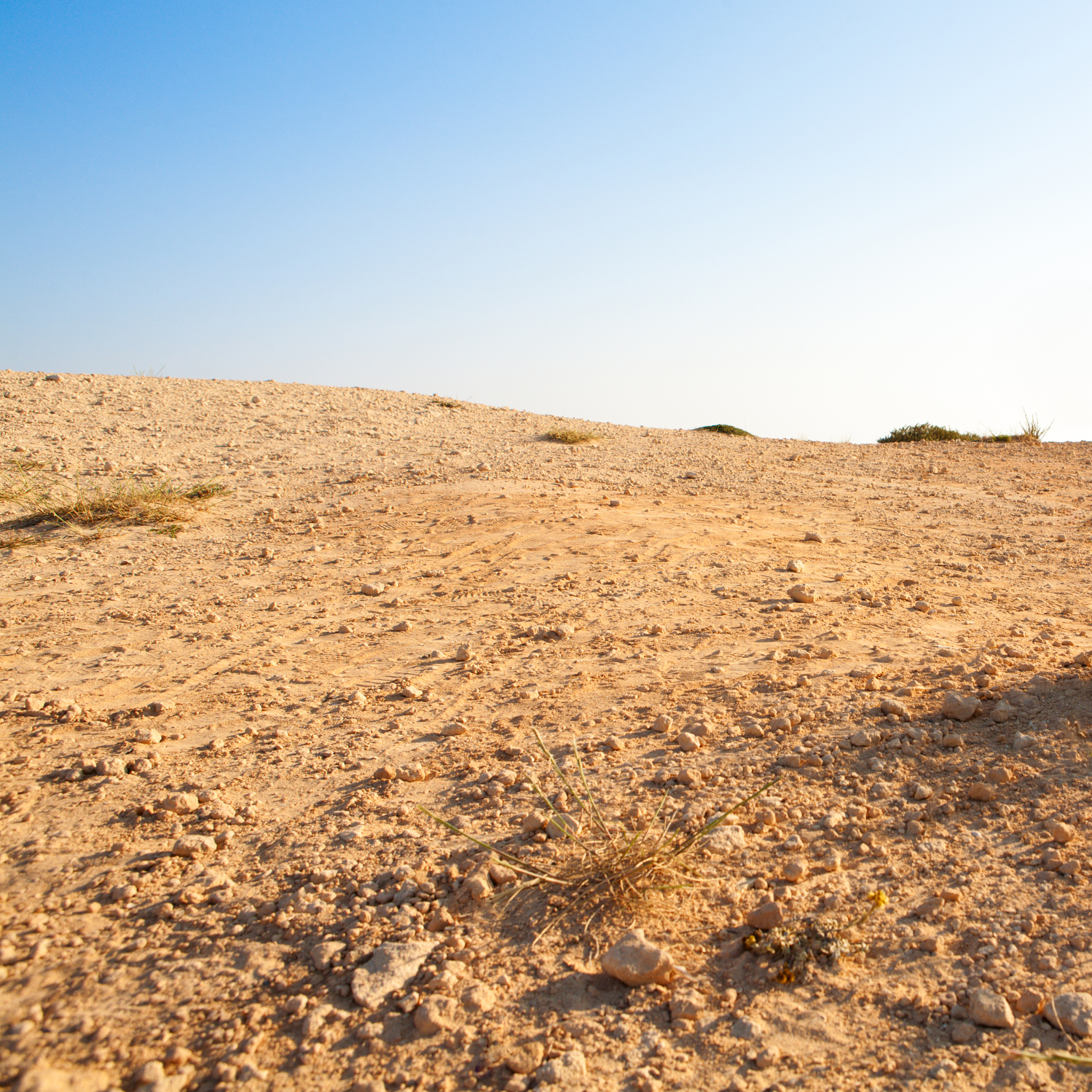 desert sky