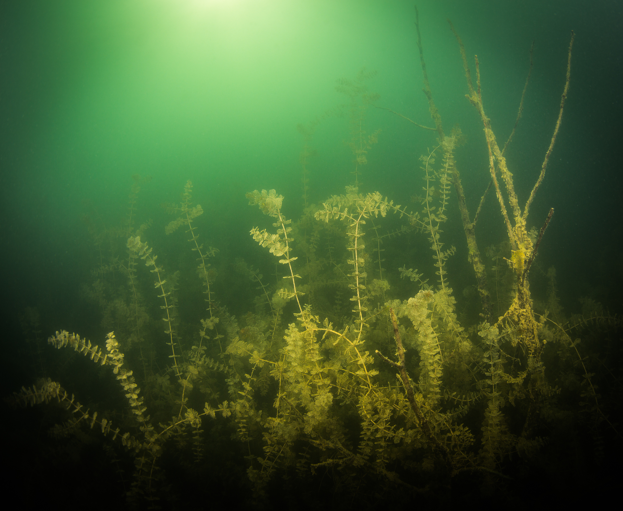 at the bottom of the river