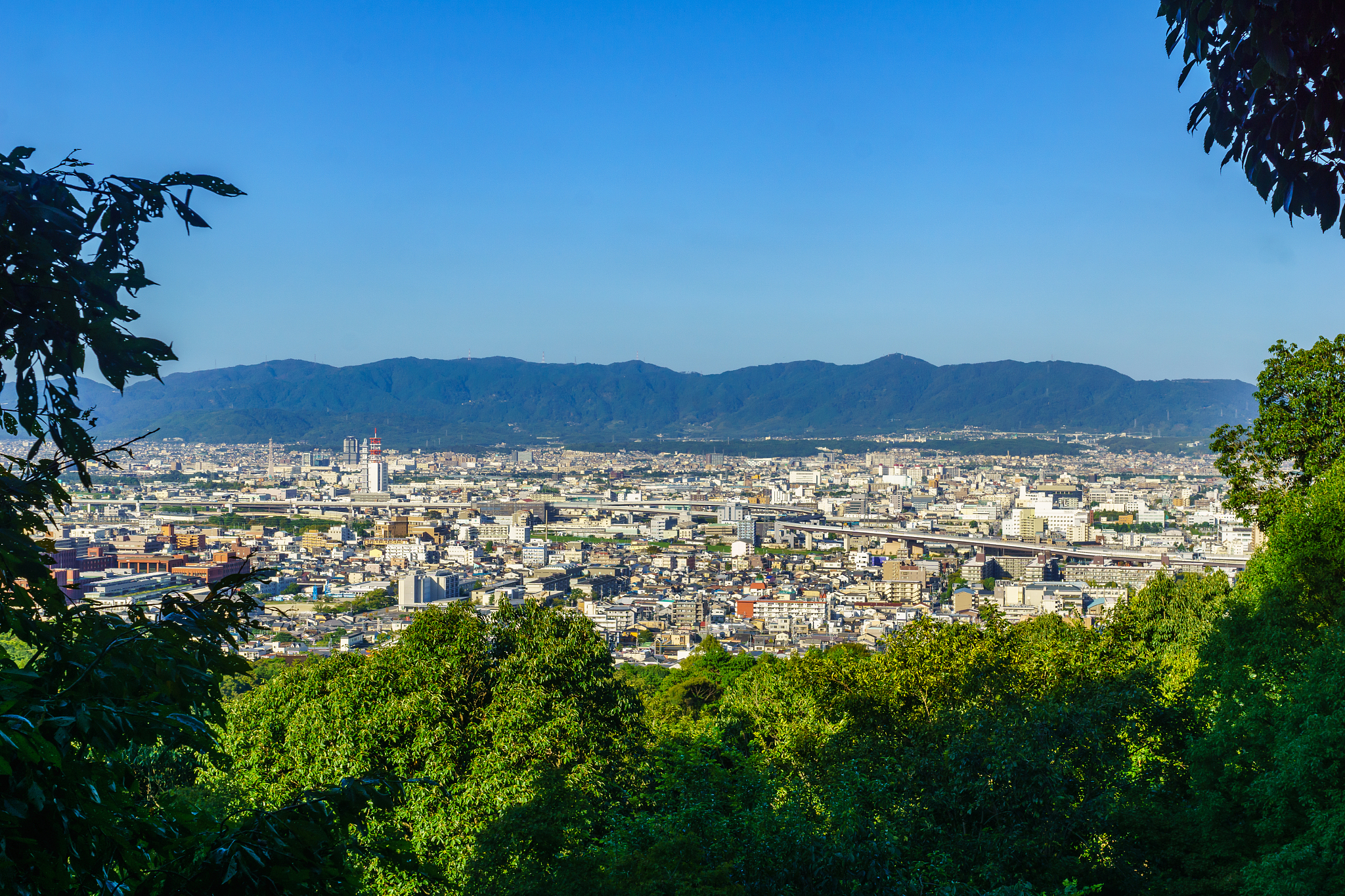 日语中的'今天'和'明天'为何没有光明未来？法国首都劳动力下降及京都劳动力上升原因分析