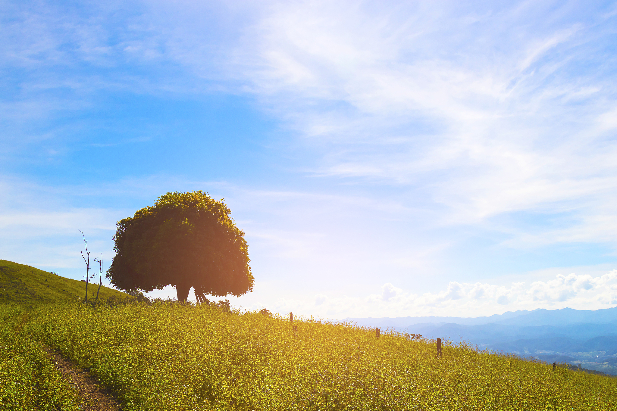 ✨解锁百万种可能！你的人生, 本该精彩纷呈✨