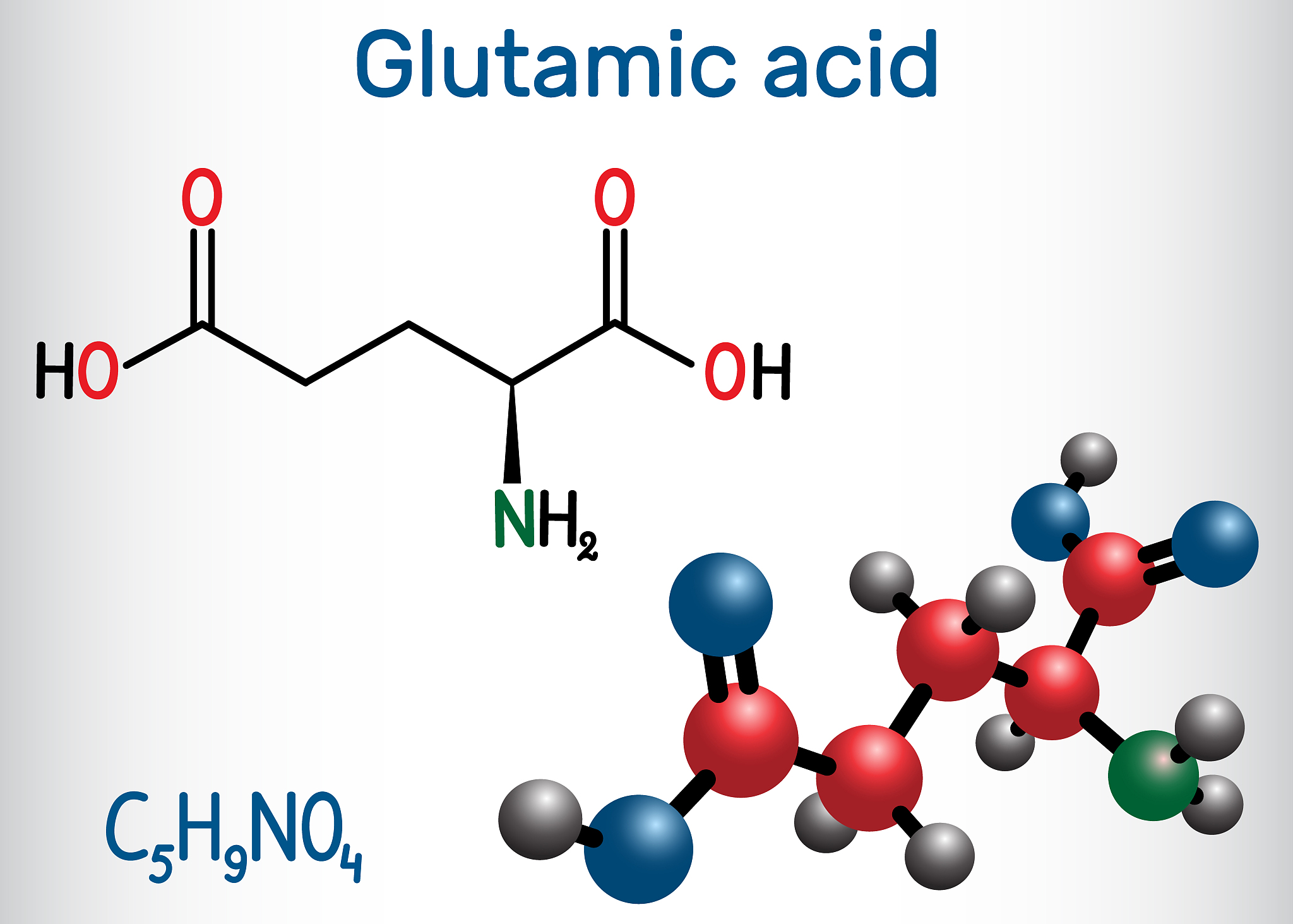 glutamic acid (l- glutamic acid, glu, e) aliphatic amino acid mo