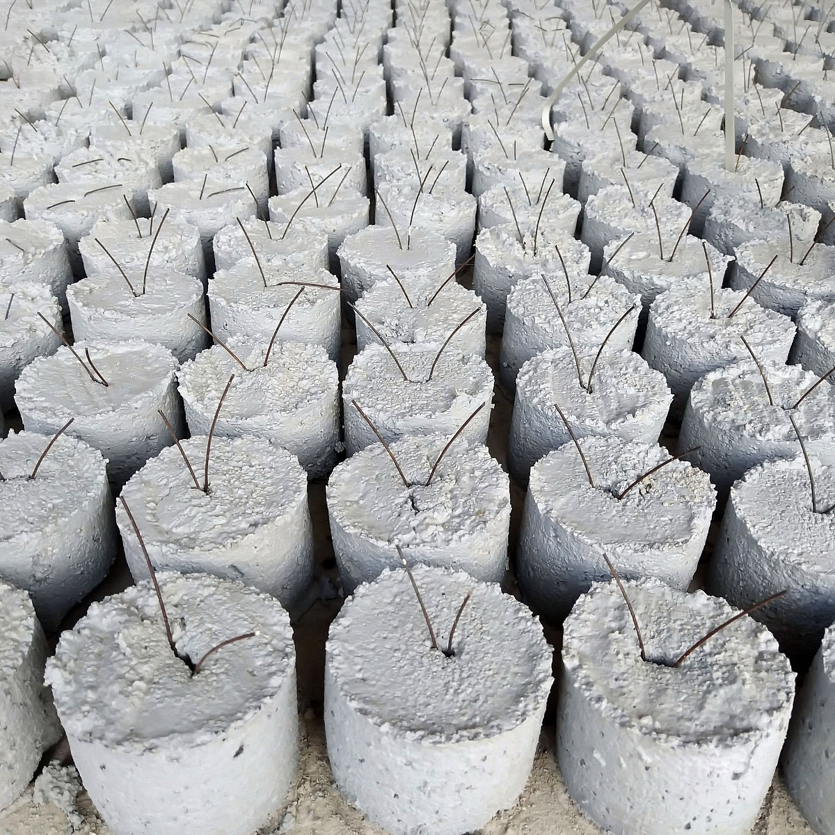 软土在不同垂直压力下进行的快剪试验后其微观结构有什么区别？