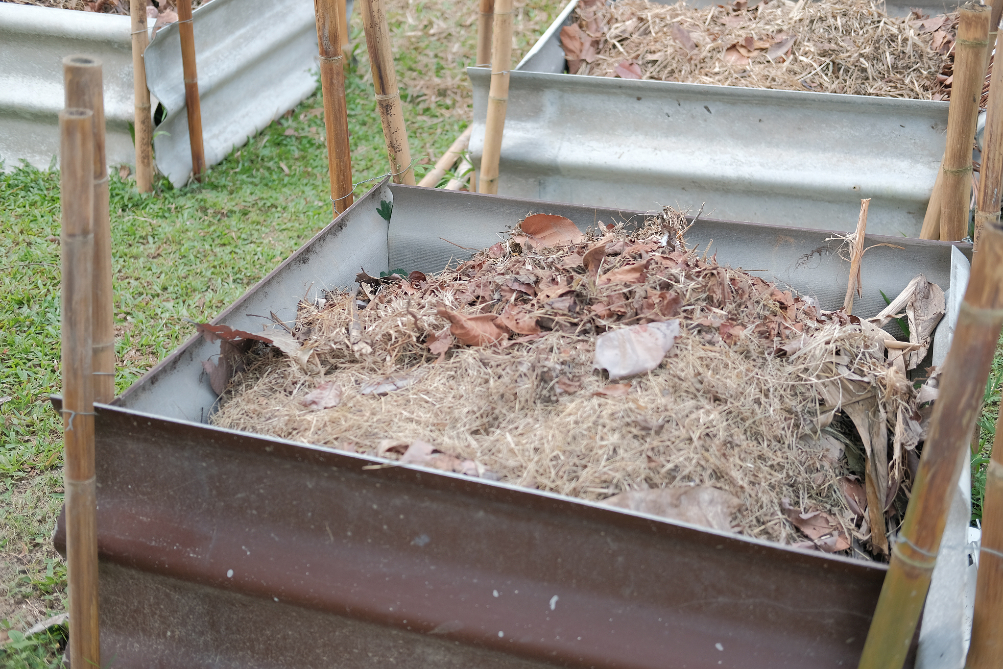 如何将食用油变成肥料