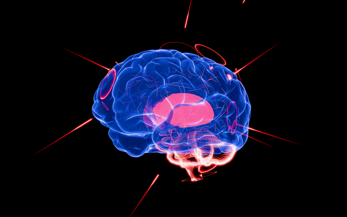 神经语言学：语言与大脑的奇妙连接