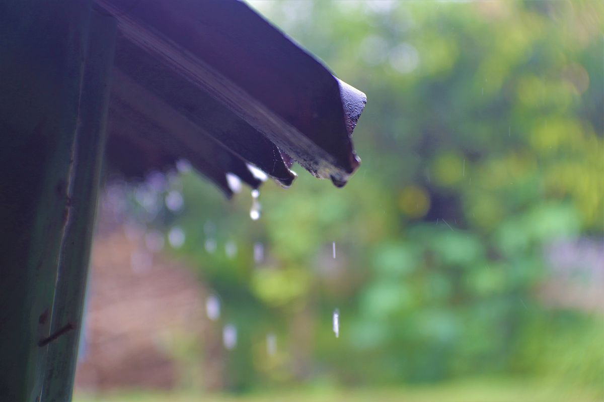 写一个关于雨的散文300字