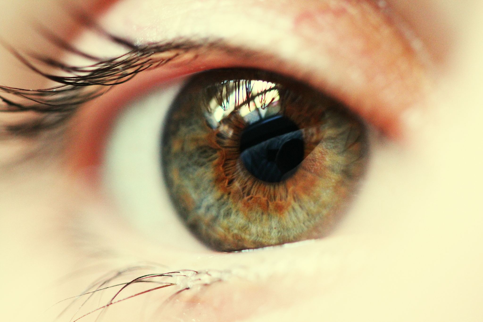 cropped portrait of human eyes