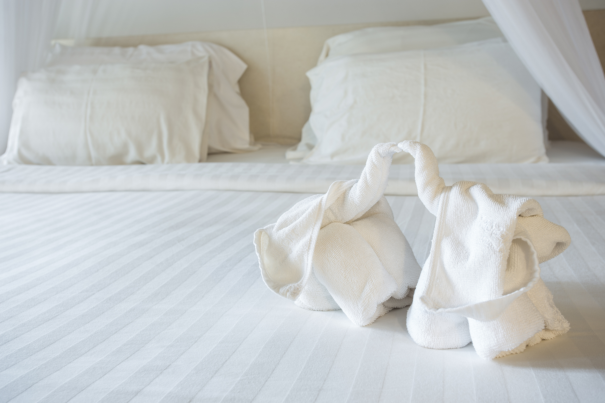 two nice towels elephant on white bed sheet