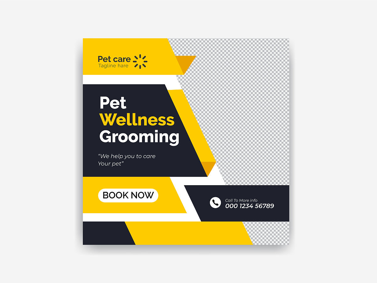 猫猫兔饲养指南：你需要知道的5件事