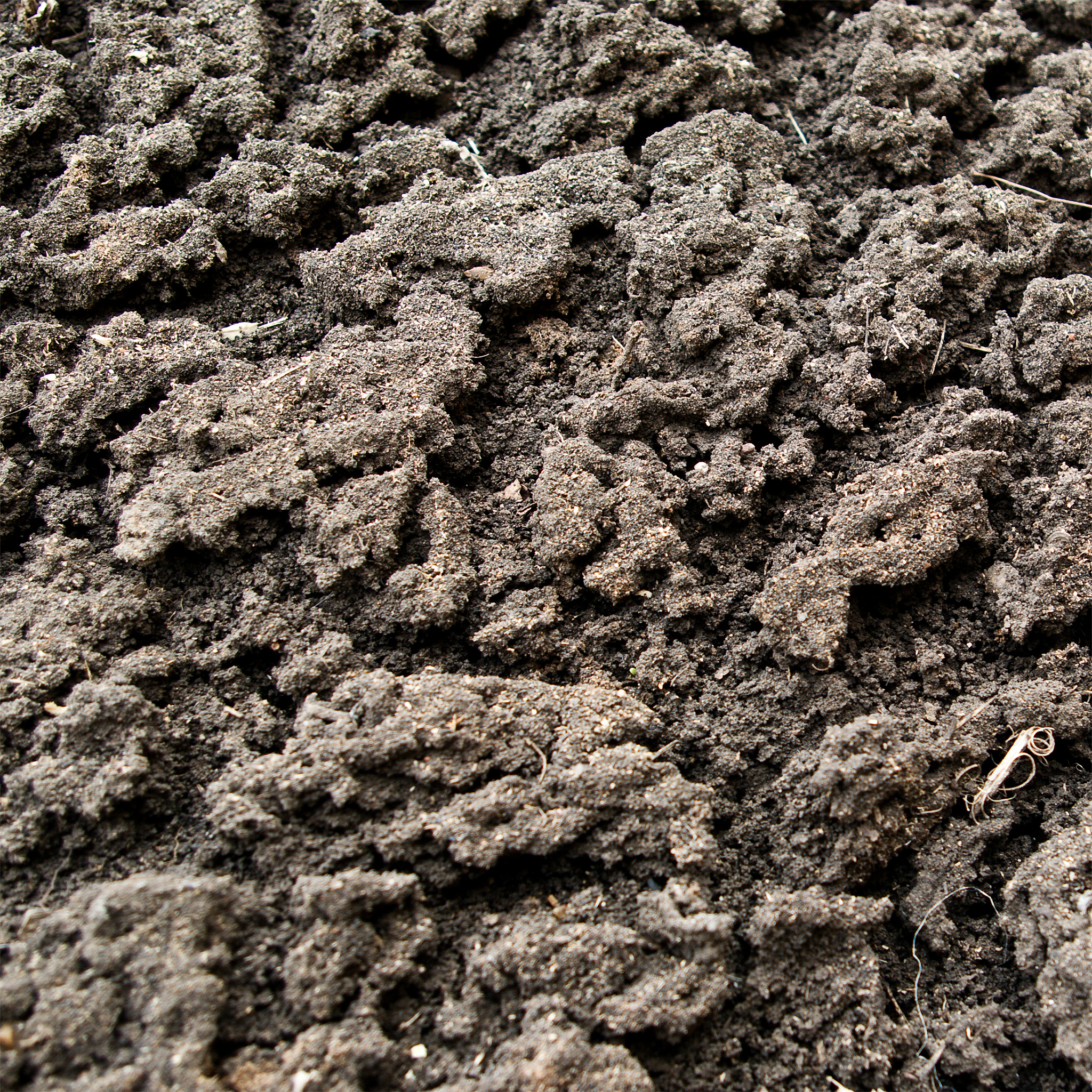 木质纤维添加量对陶粒性能的影响及优化建议