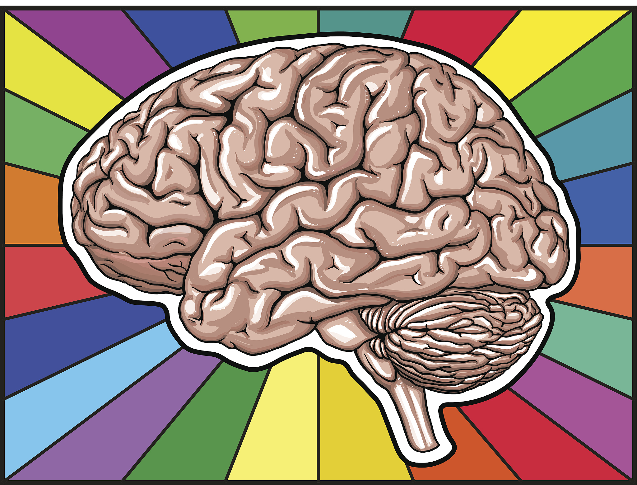 4【单选题】通过裂脑人研究来揭示大脑两半球功能单侧化的科学家是A布洛卡PBrocaB拉什利KSLashleyc斯佩里RSperryD威尔尼克C Wernicke