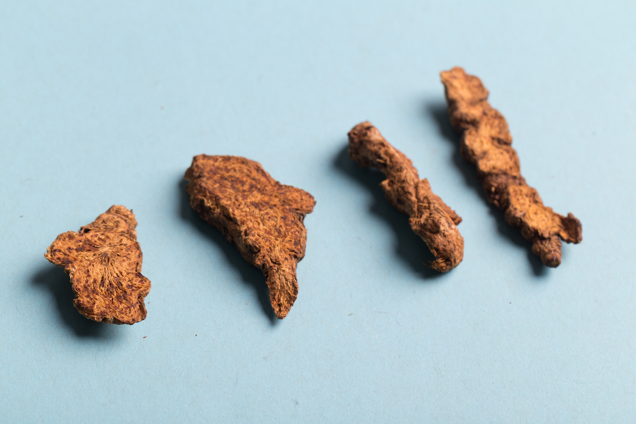 四川中医药高等专科学校五年制大专的招生人数是多少呢