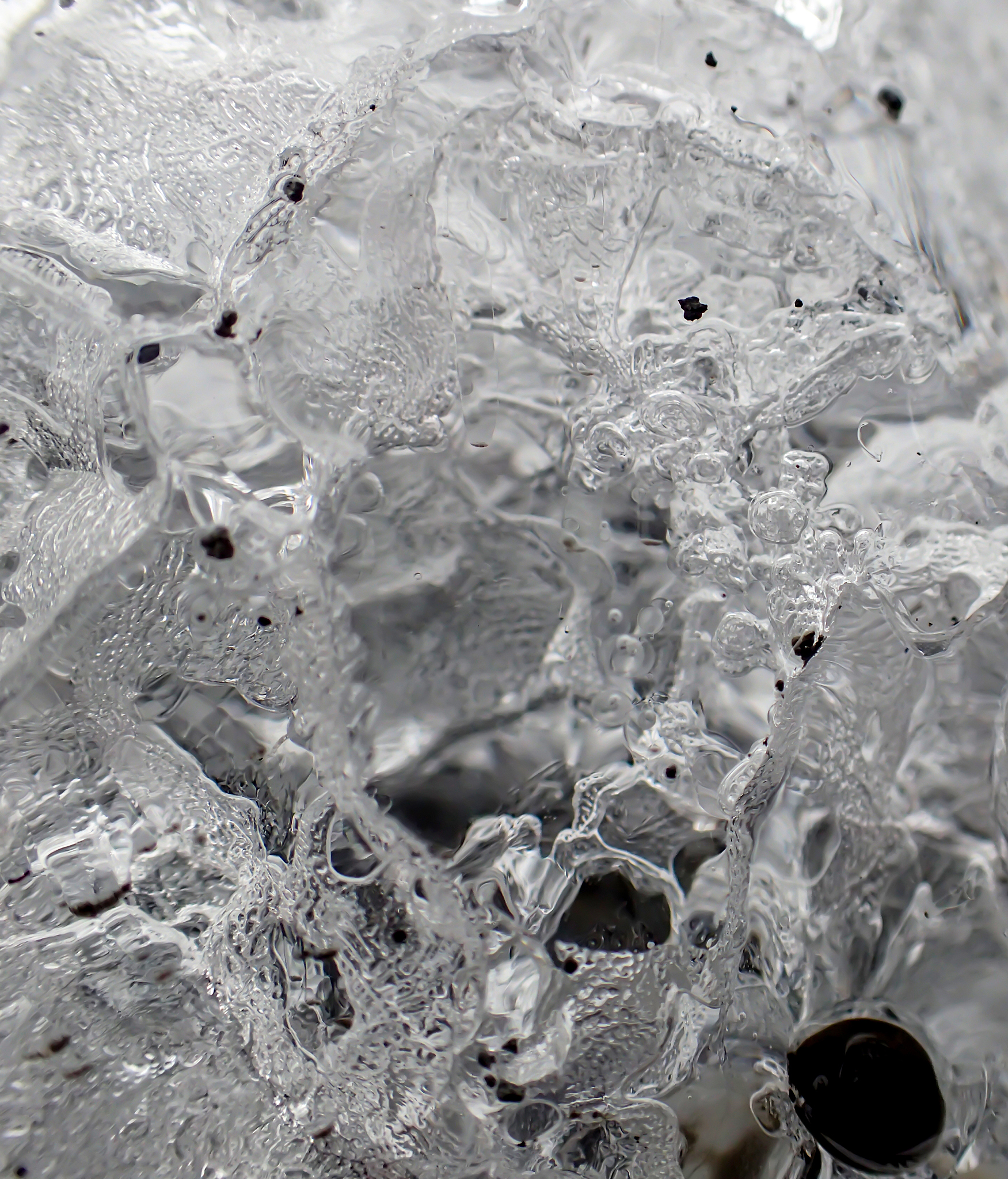 Round-the-Clock Water Disinfection: Engineering Carbon Nitride for High-Efficiency Antimicrobial Photocatalysis