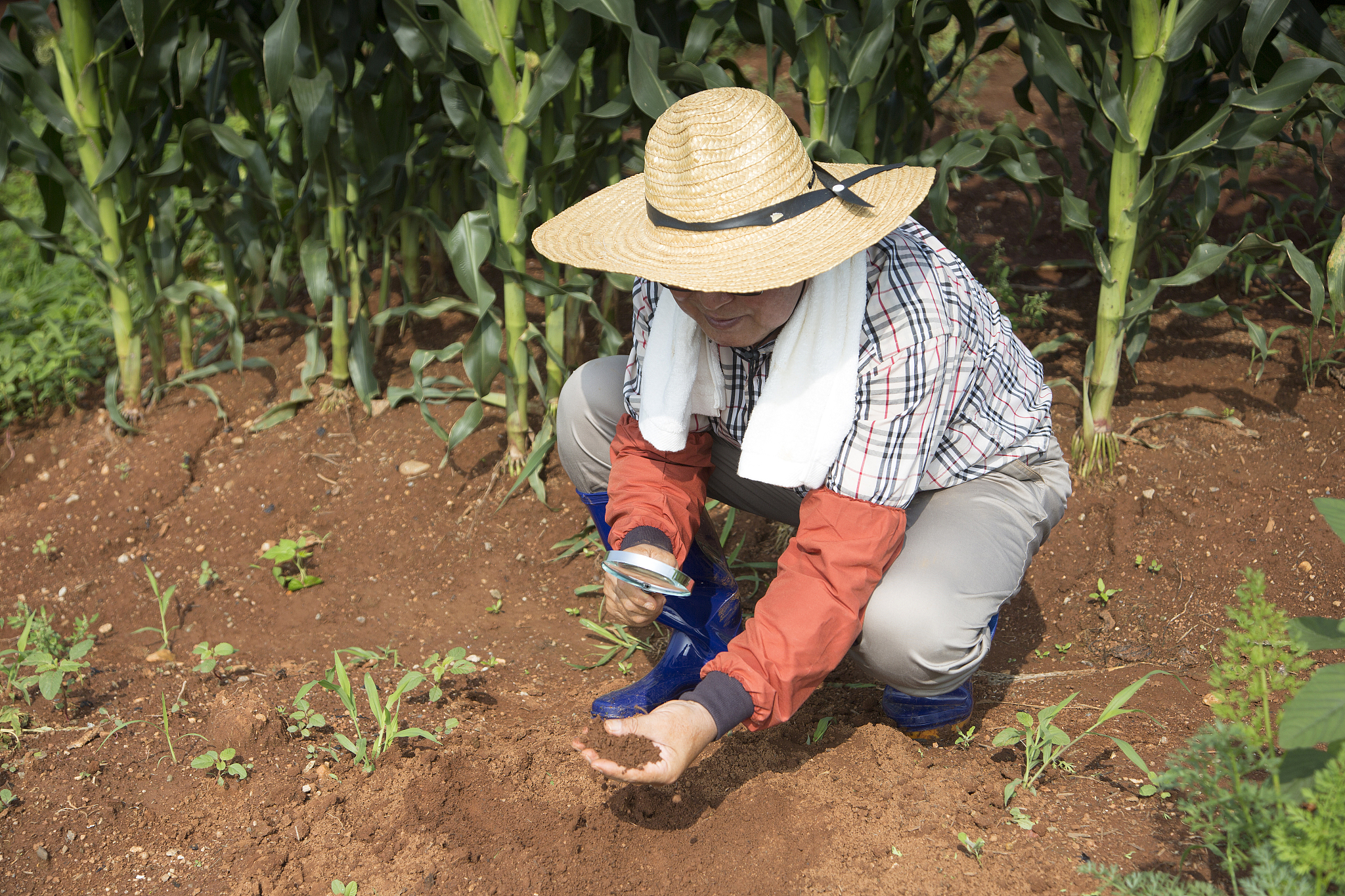 中国近代史：小农经济的自给自足与局限性