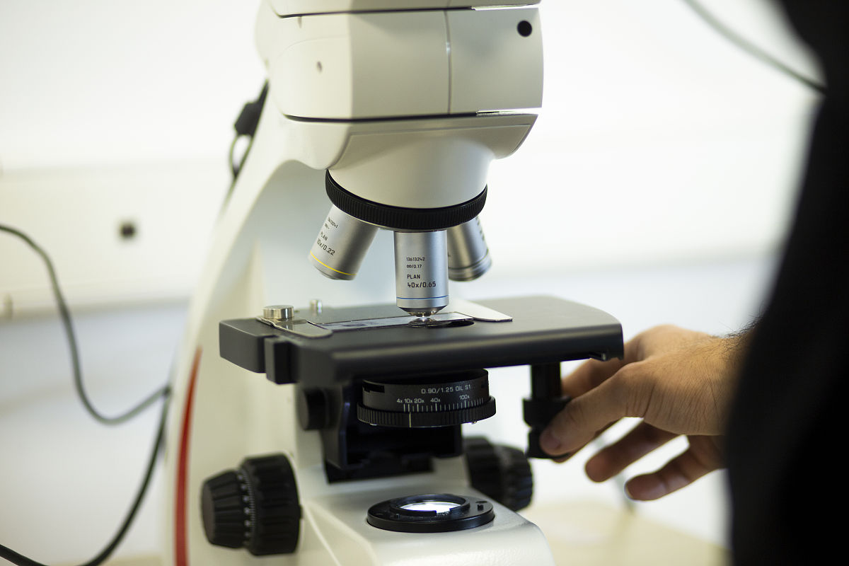 鉴定宝石玉石帮我用180字详细描述