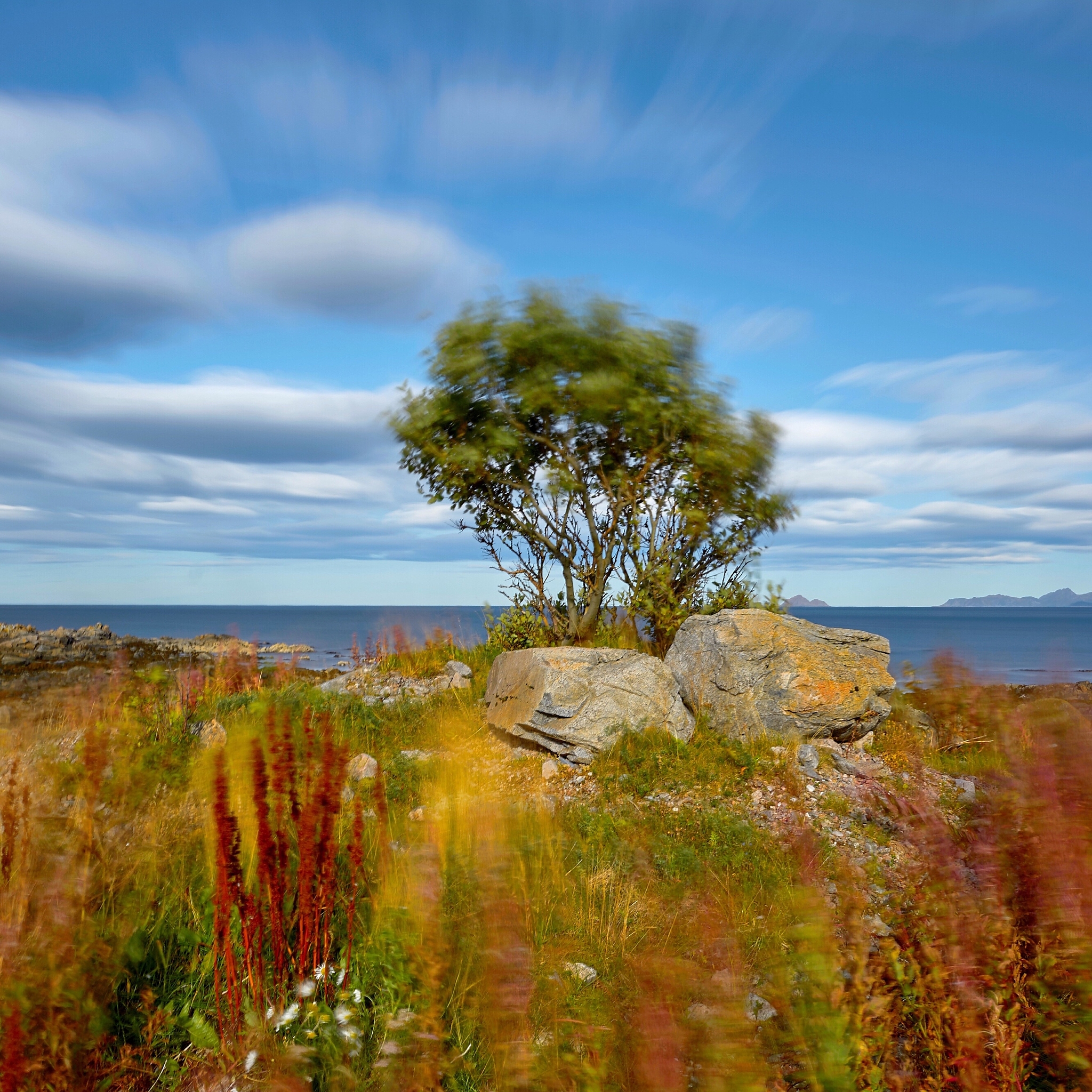 洪堡县旅游指南：必去景点和活动