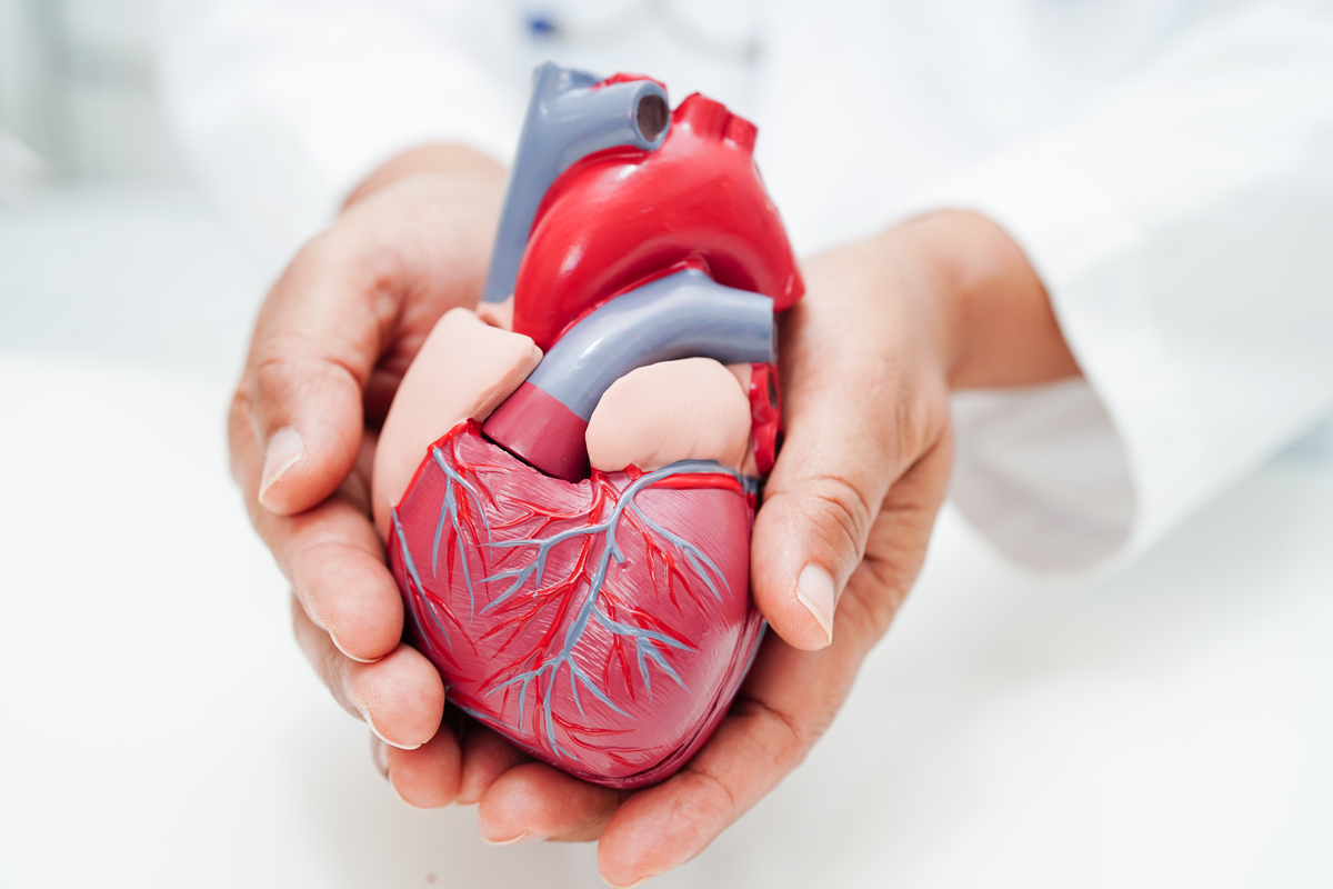 Frontiers in Cardiovascular Medicine期刊研究范围详细介绍