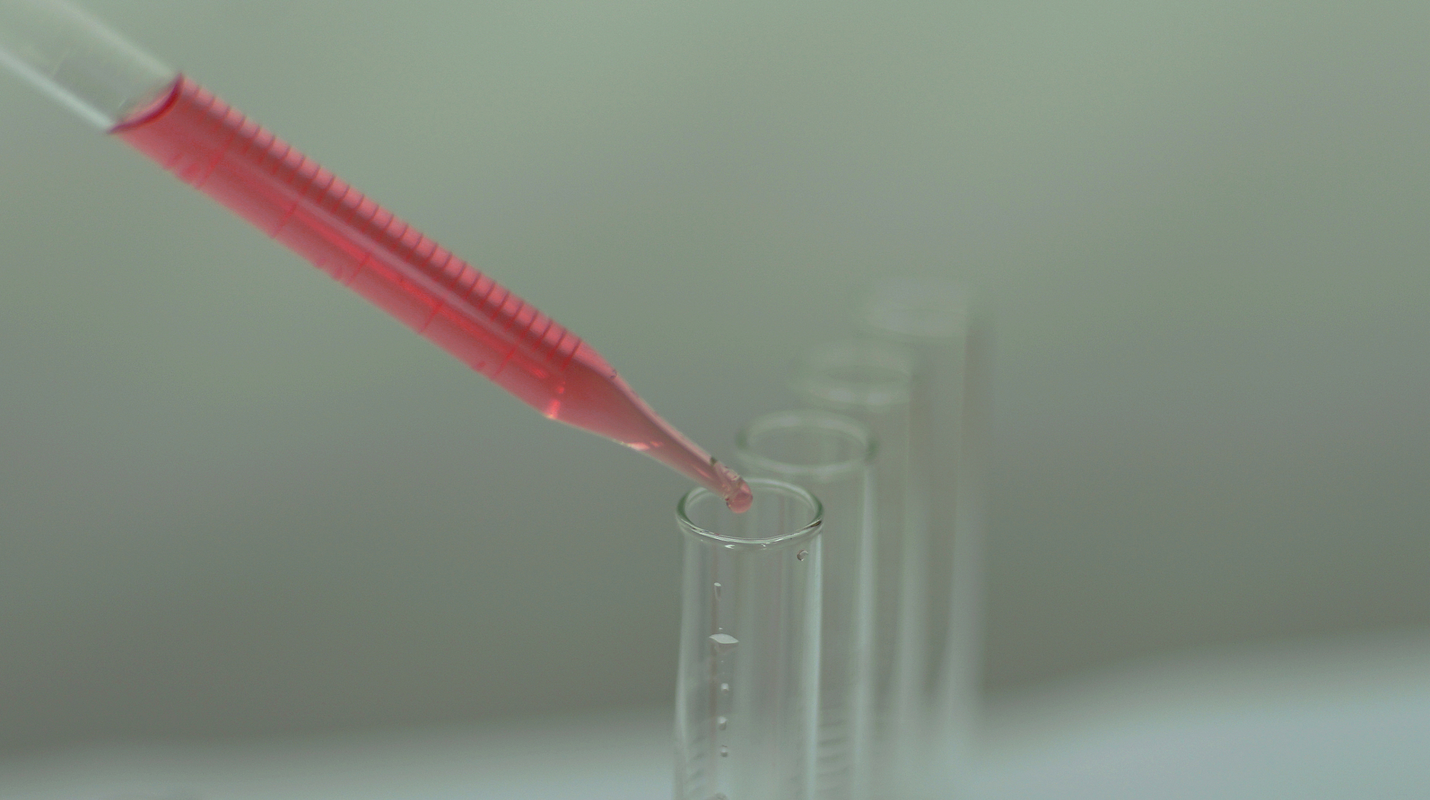 实验预习大厅：高效备考，提升实验效果