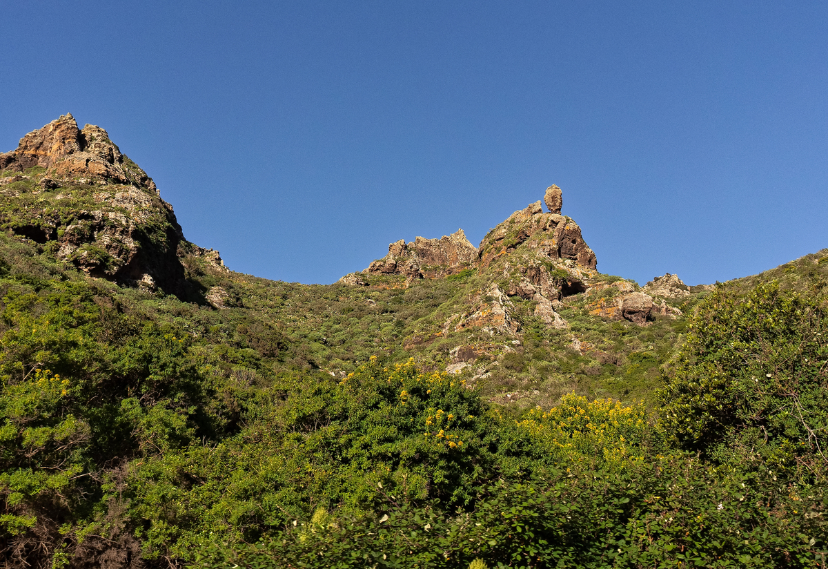 绿色植被中的洛矶山脉山峰