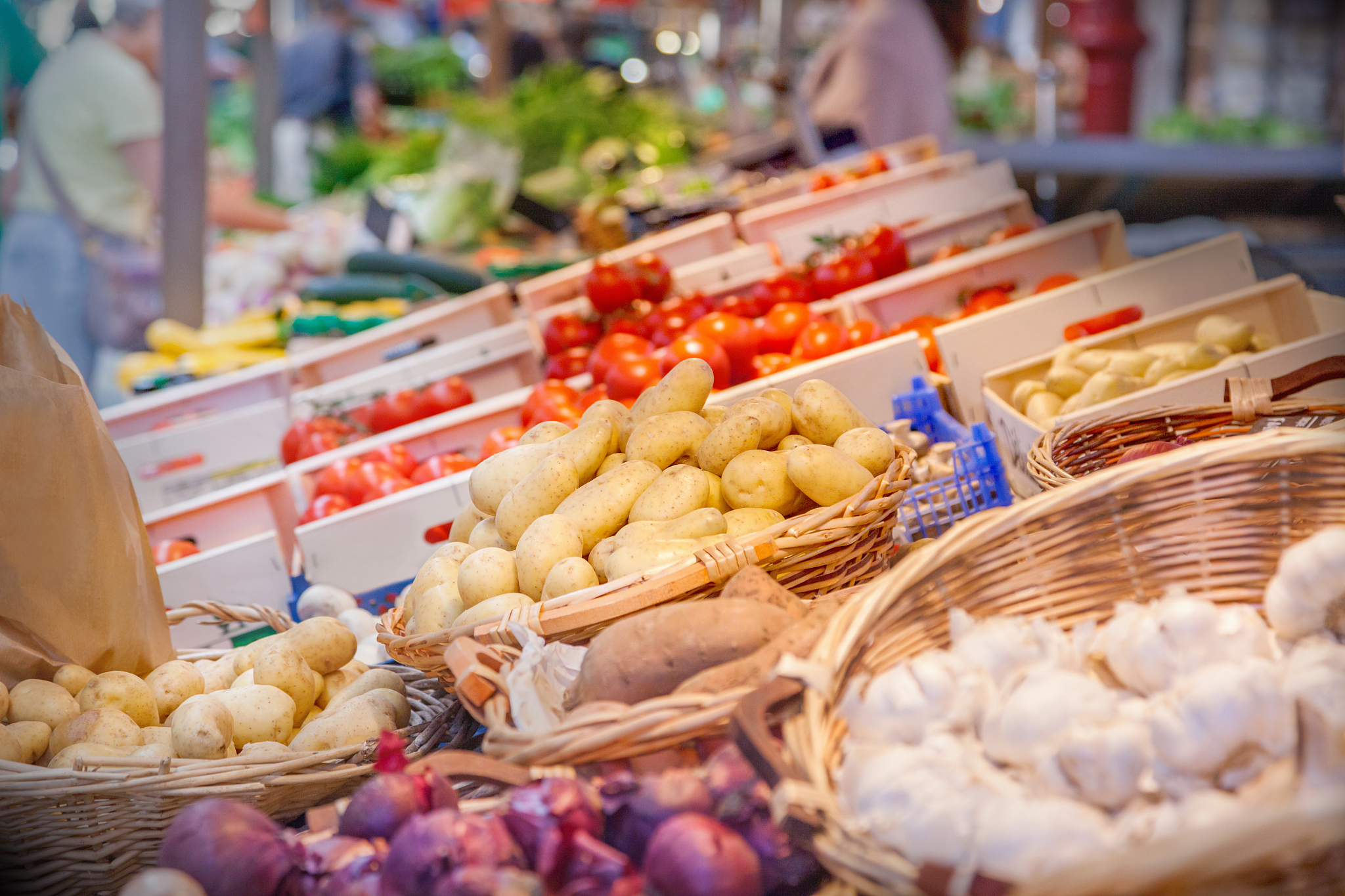 fruits and vegetables