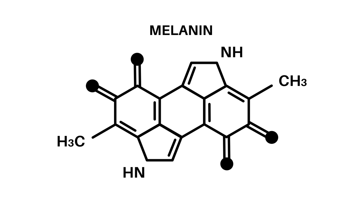 黑色素的化学式
