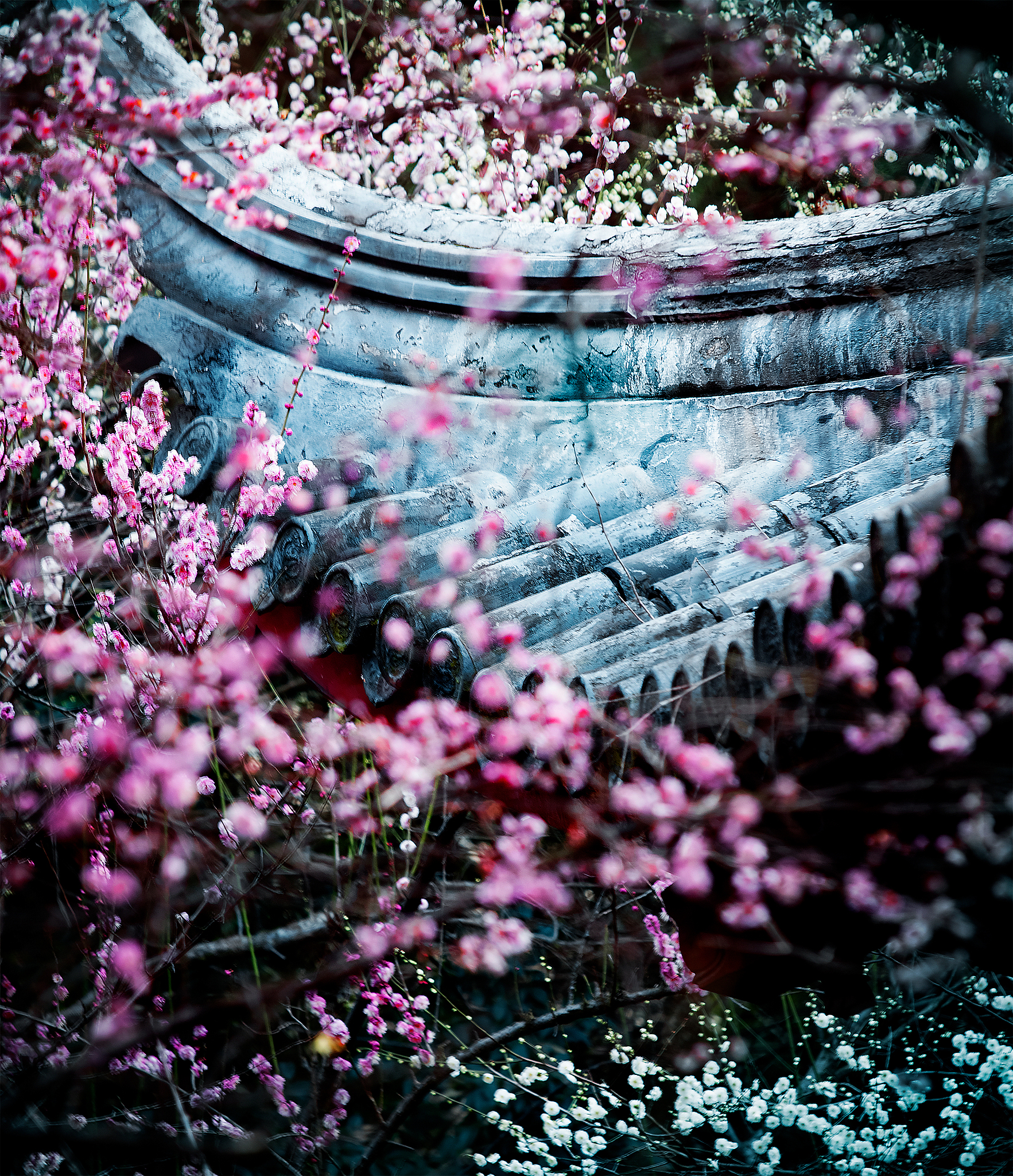 落花有意随流水，流水无心恋落花 - 全诗赏析