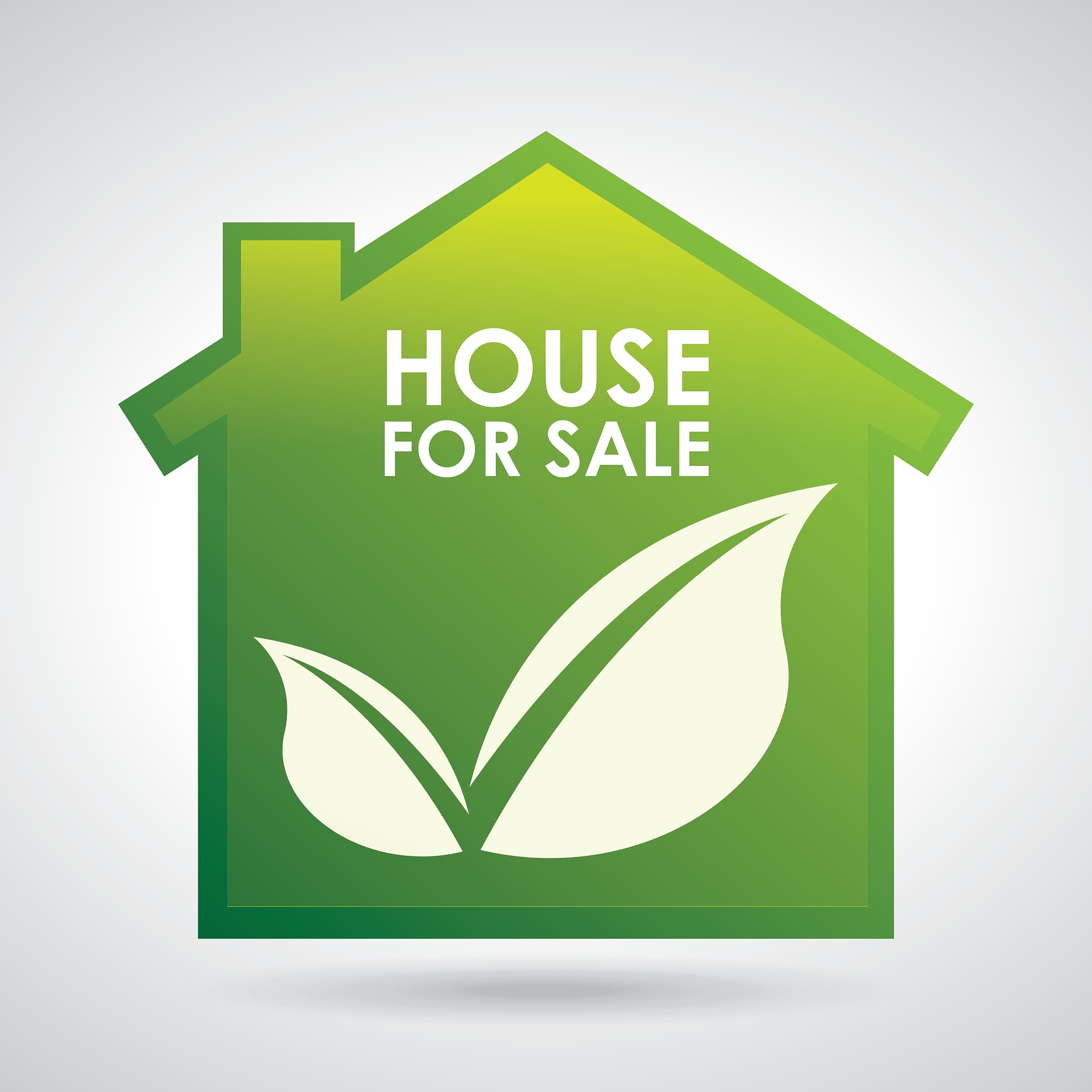 eco house design