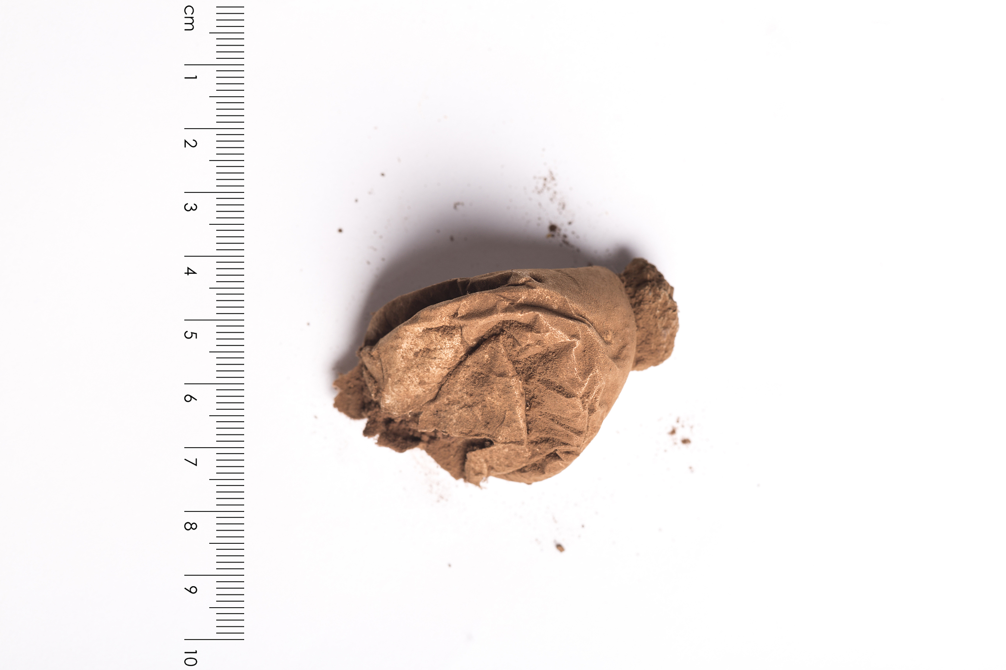 国际期刊上有关于中药的双盲实验文献吗？