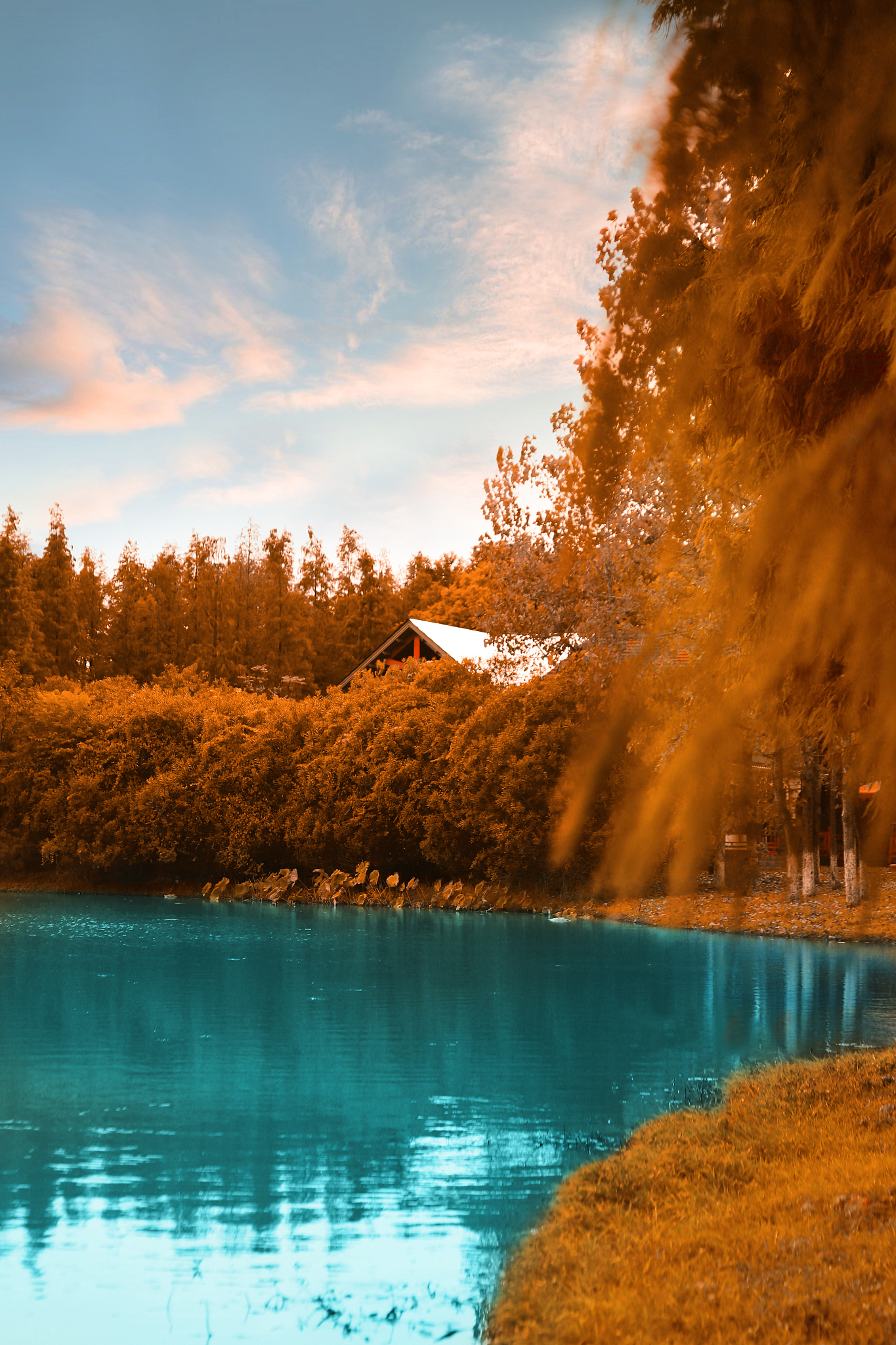 七言诗歌：秋天的故事，句句押韵