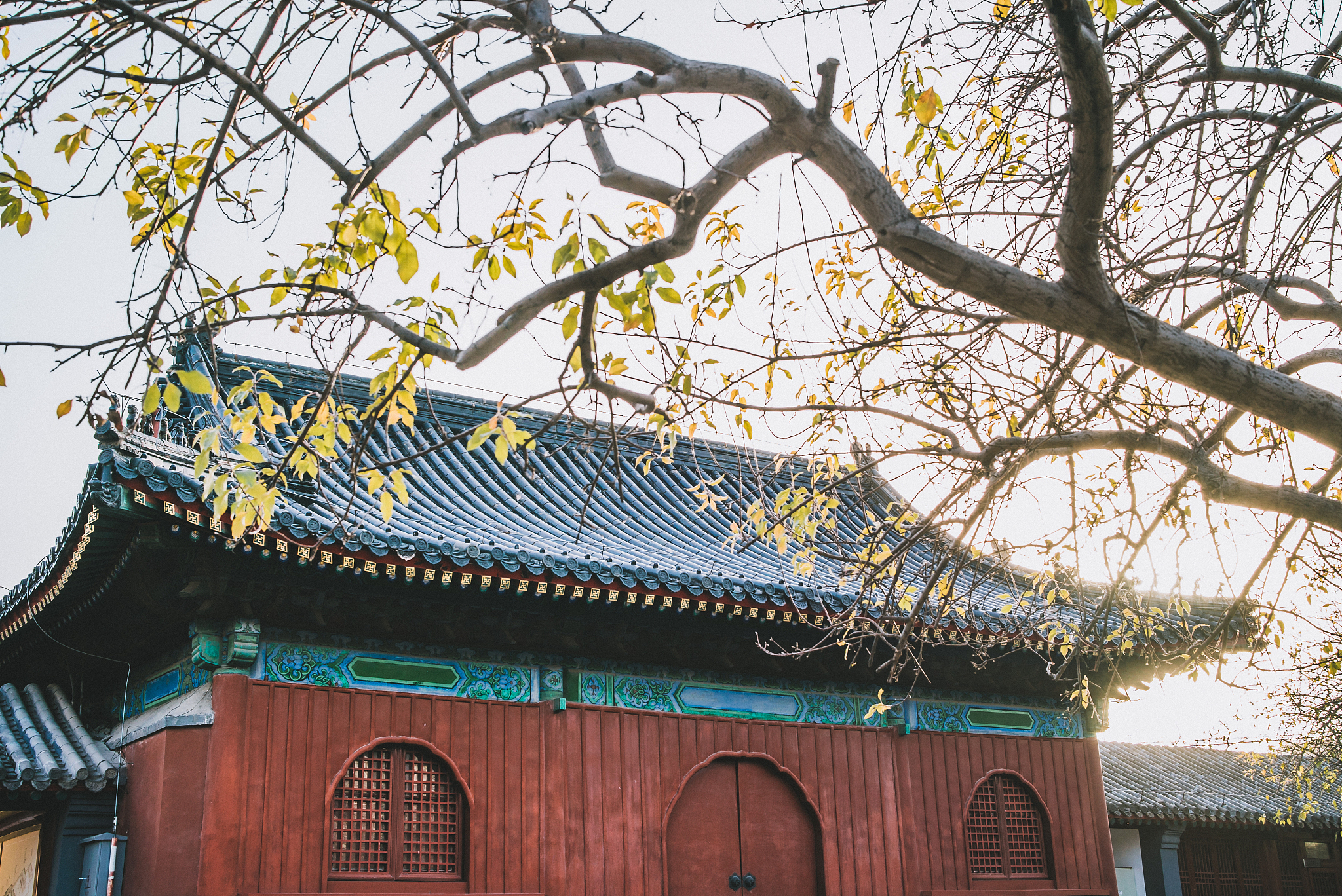 朝阳师范高等专科学校旅游管理专业涉及哪些课程