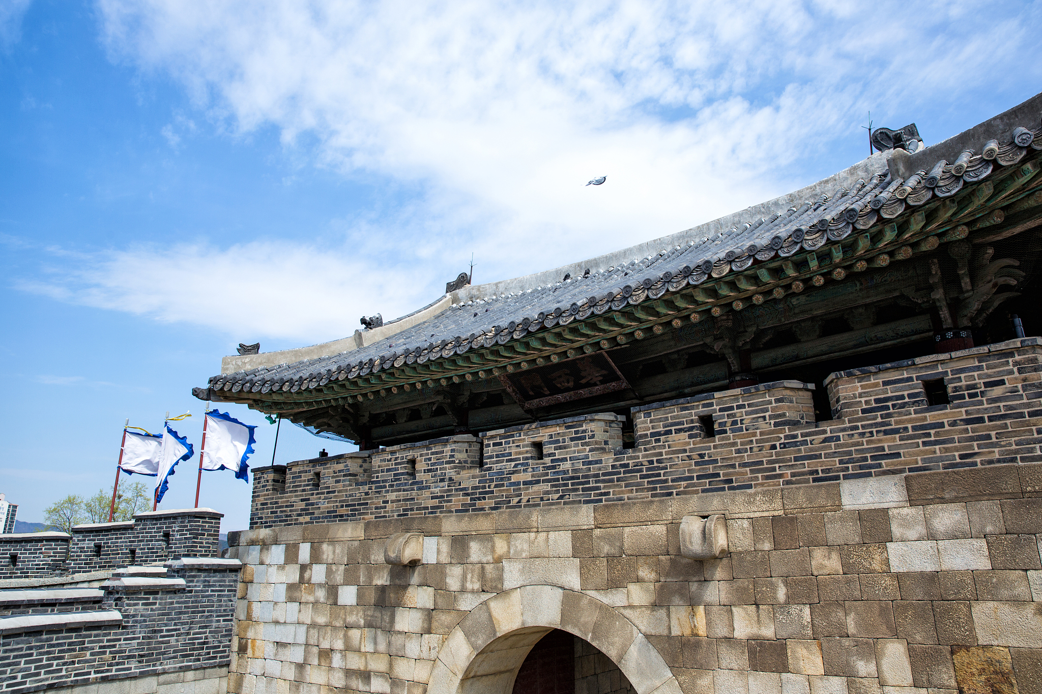 宁波职业技术学院应用韩语专业怎么样