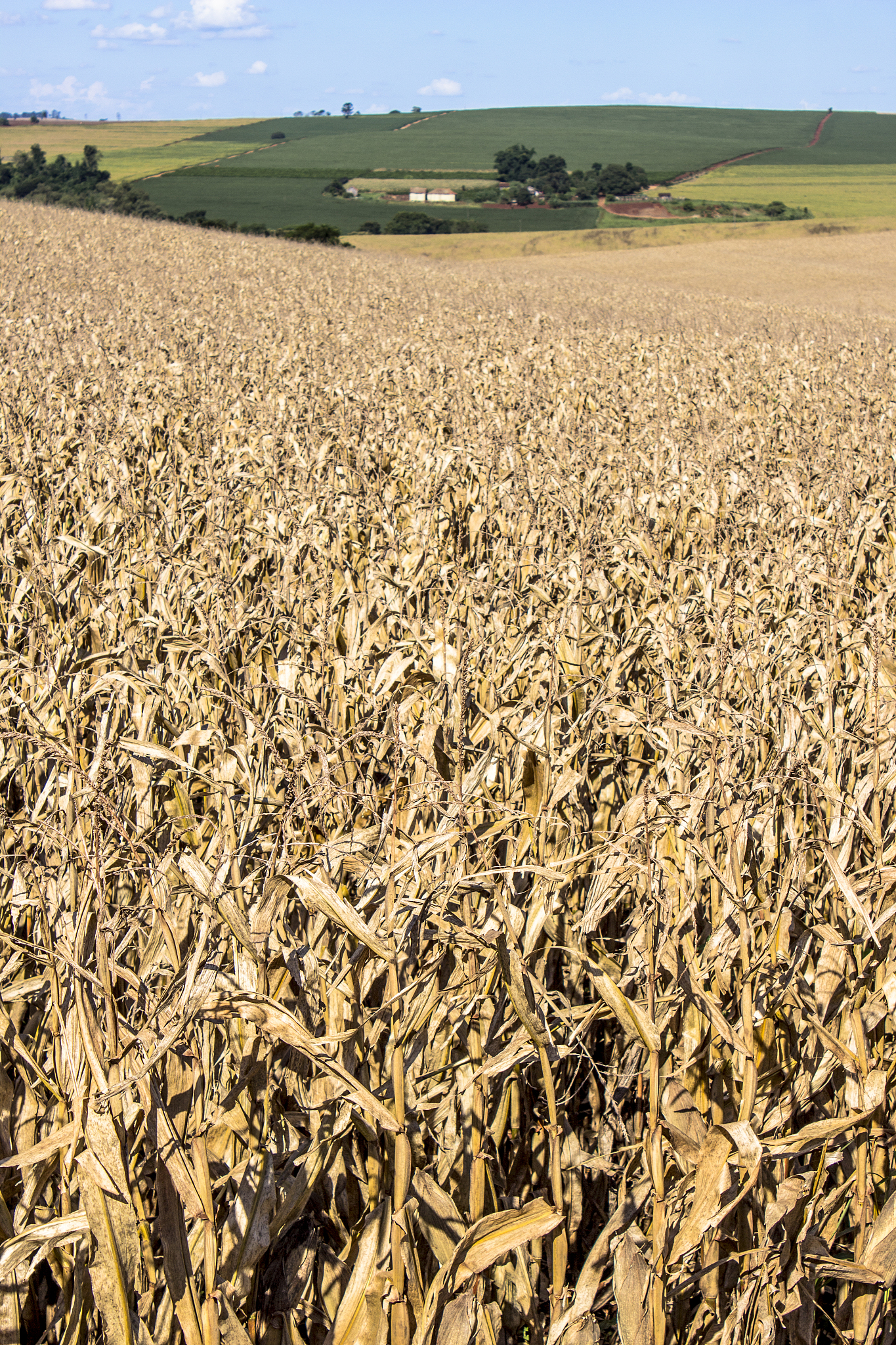 广西百色农业学校2023年有哪些招生专业