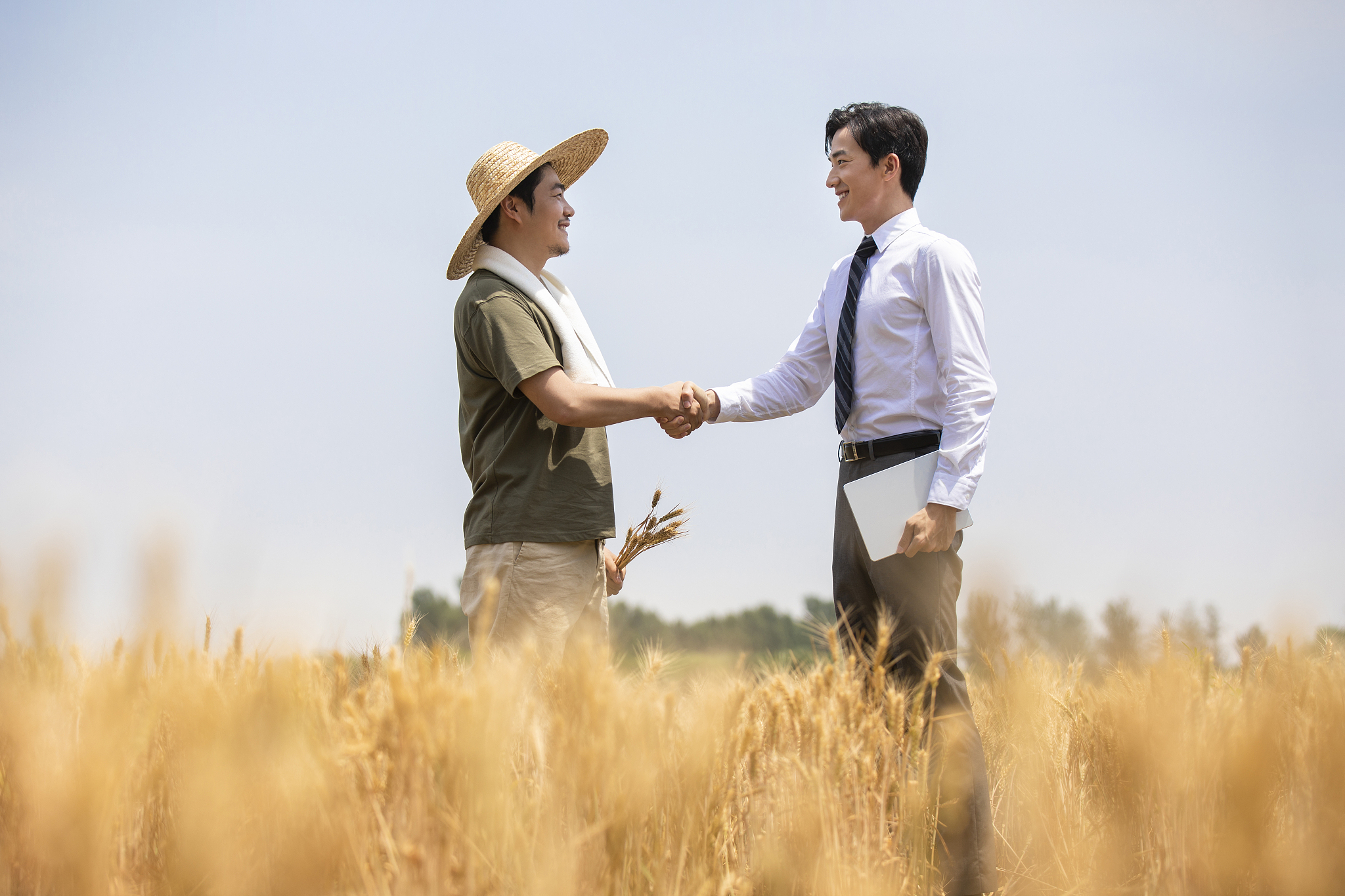 乡镇农业办公务员年度目标任务书：重点工作及内容