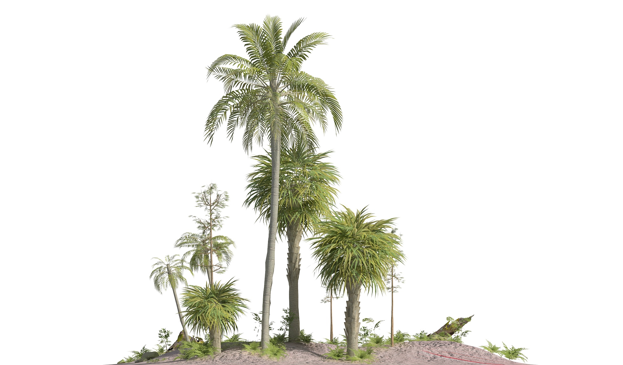 项羽本纪赞：从英雄史诗中悟人生成败之道