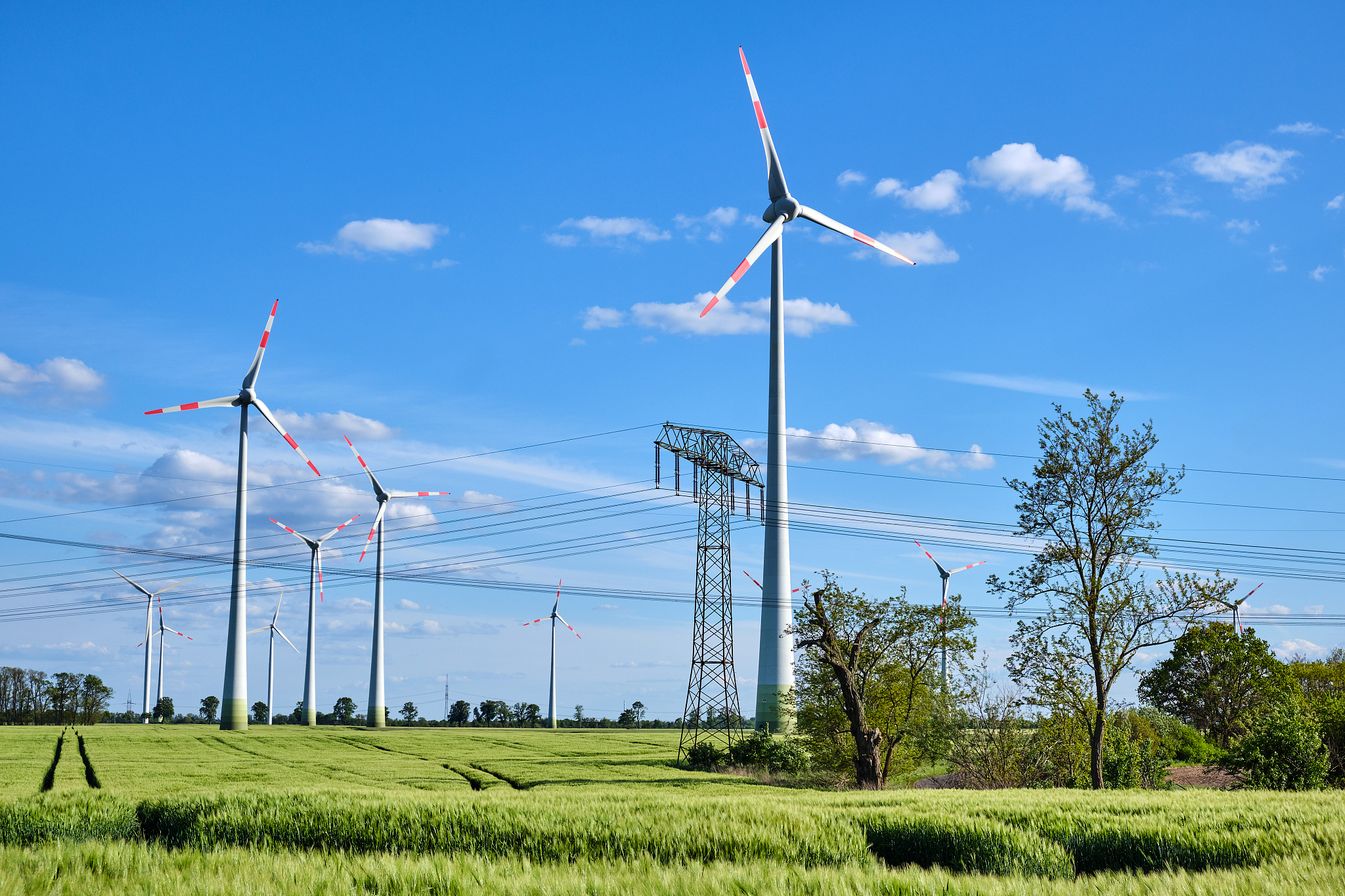 高效可靠电力设计解决方案 - [您的公司名称] 项目投标书