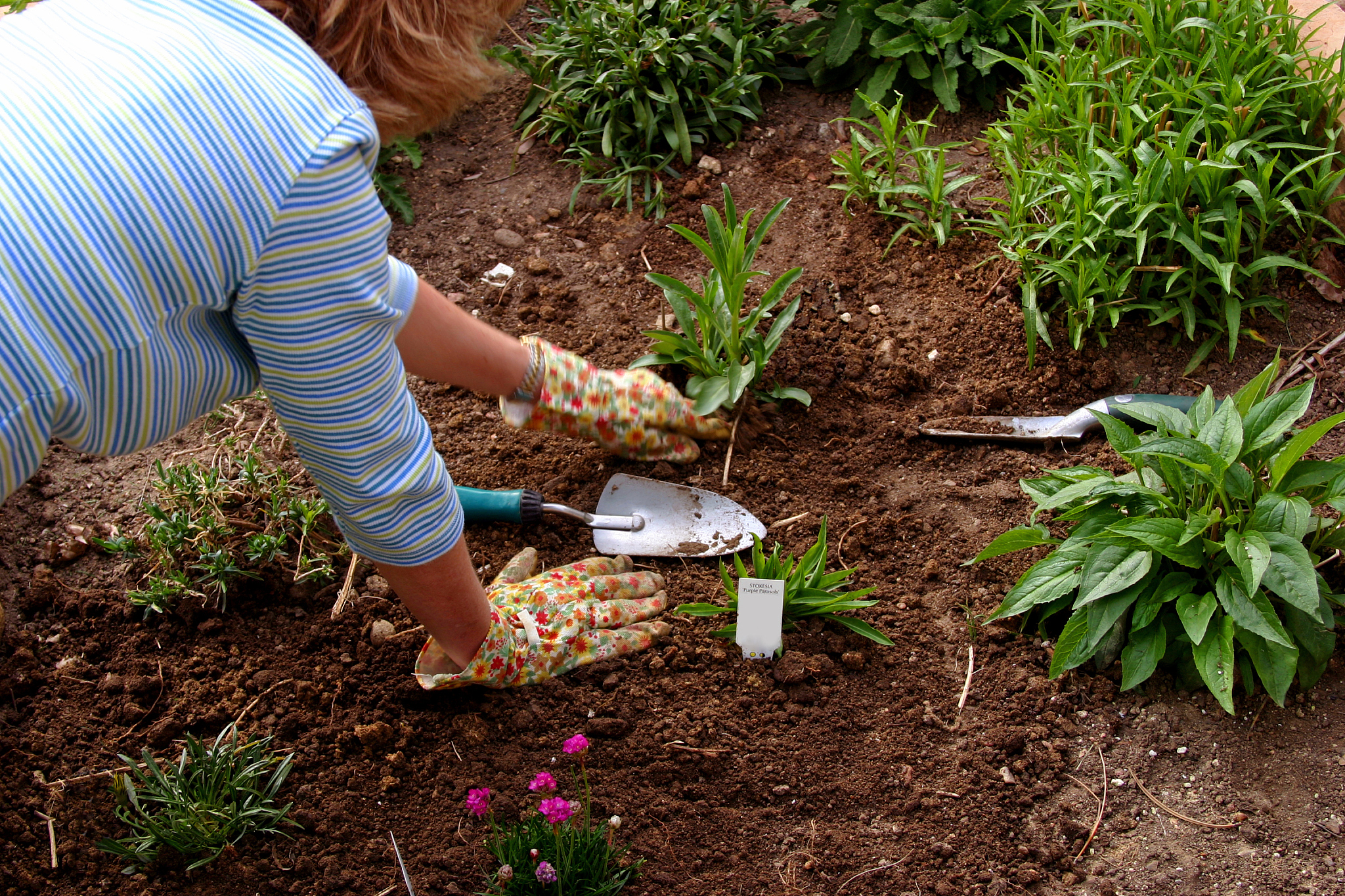 娄底职业技术学院园林工程技术专业怎么样？就业前景如何？