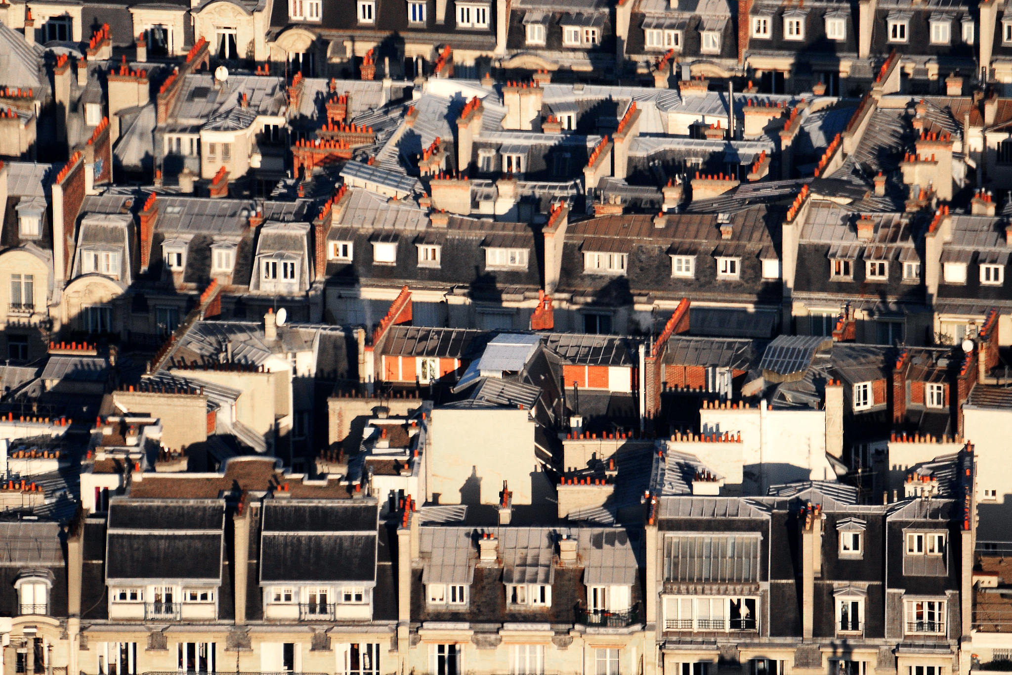 view on paris rooftops.