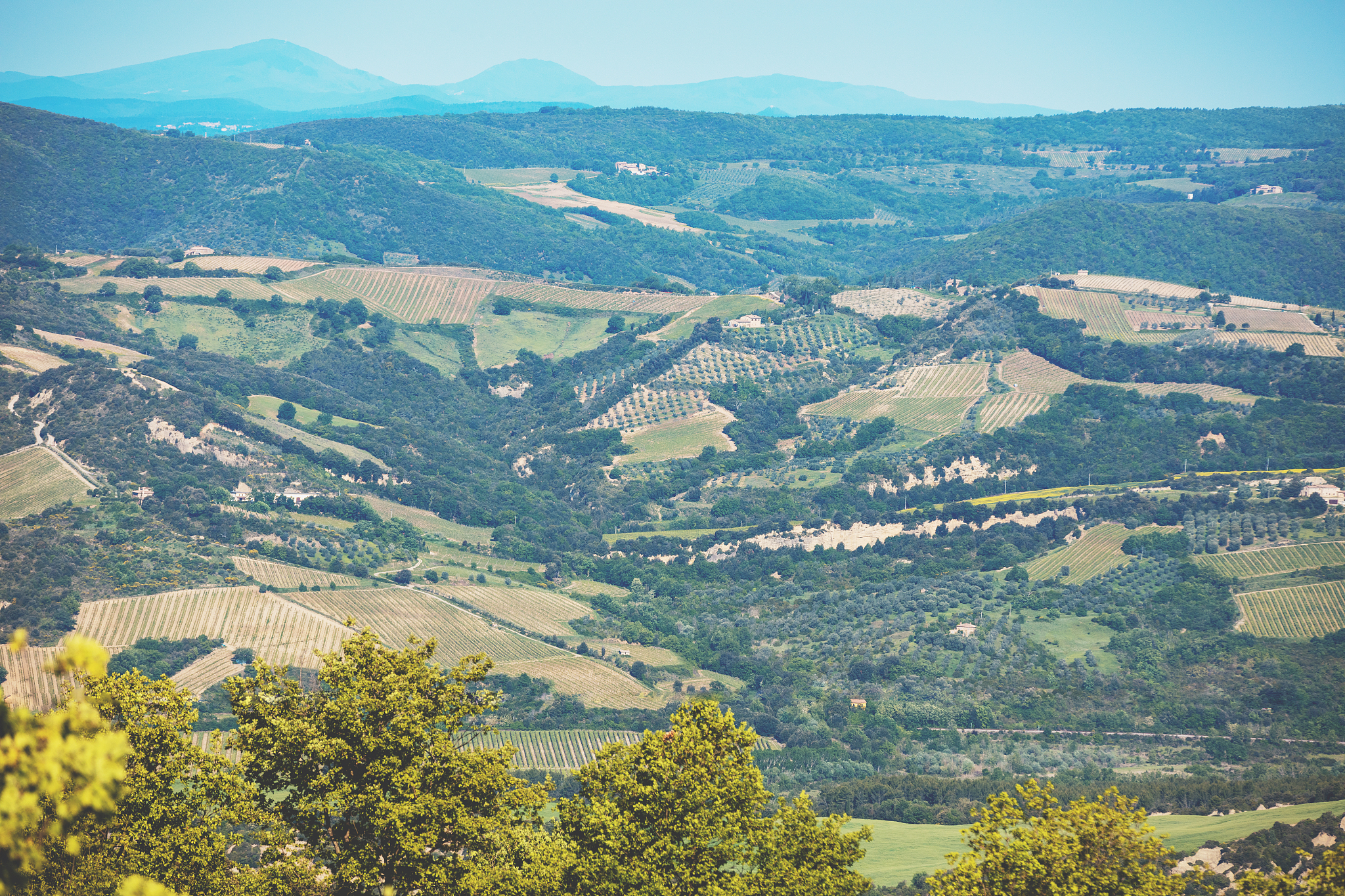 beautiful landscape, spring nature. view from above of sunny fie