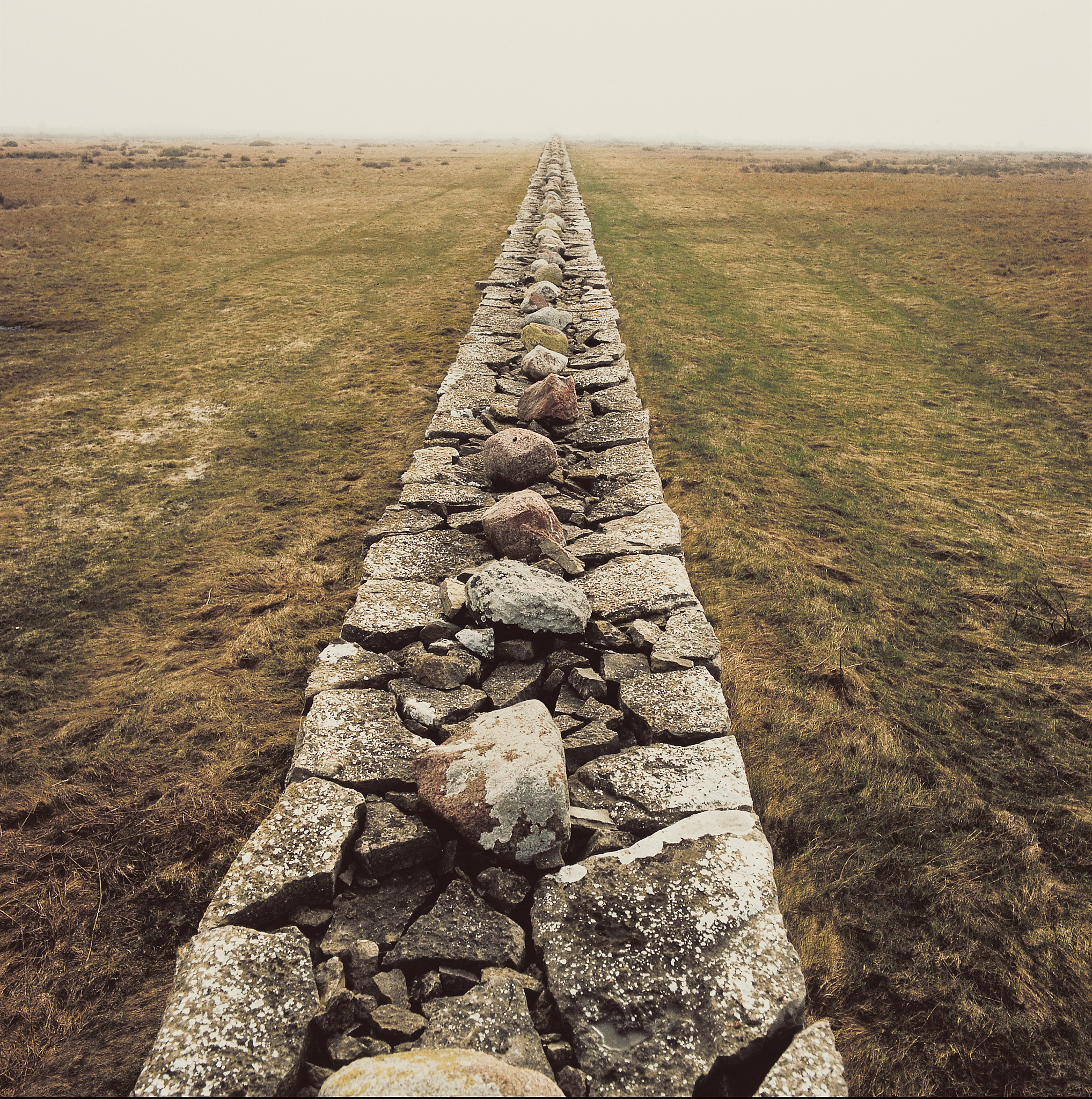 一切从实际出发：含义、原则和应用