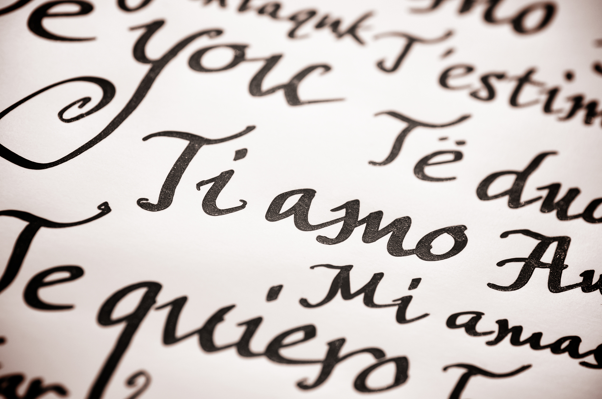 日耳曼语系和诺曼语系有什么不同请分别详尽介绍并给出例子并且从文化角度分析其成因