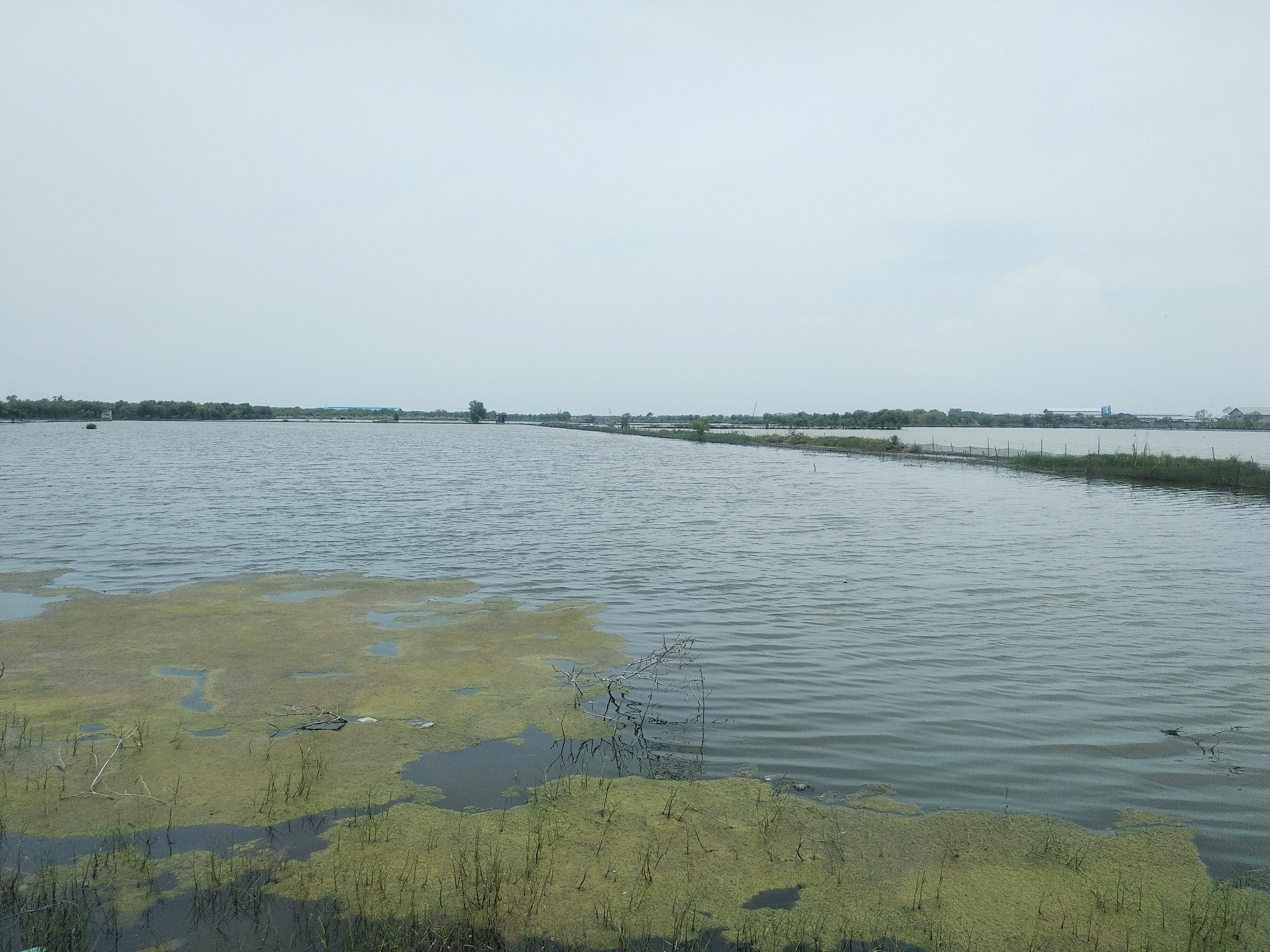常州滆湖禁渔政策：保护水生生物资源，维护生态平衡