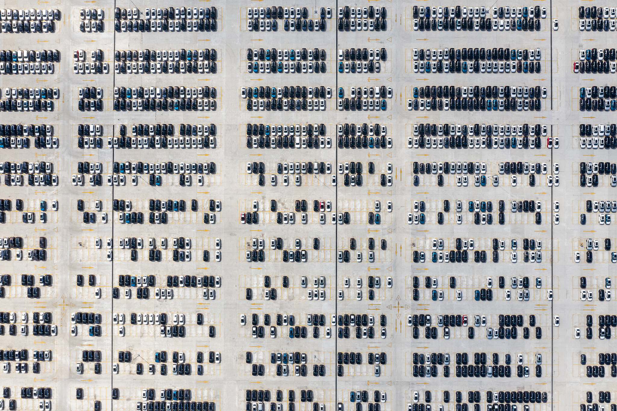 诗经起名 | 龙凤胎名字，出自《诗经》，中间字相同