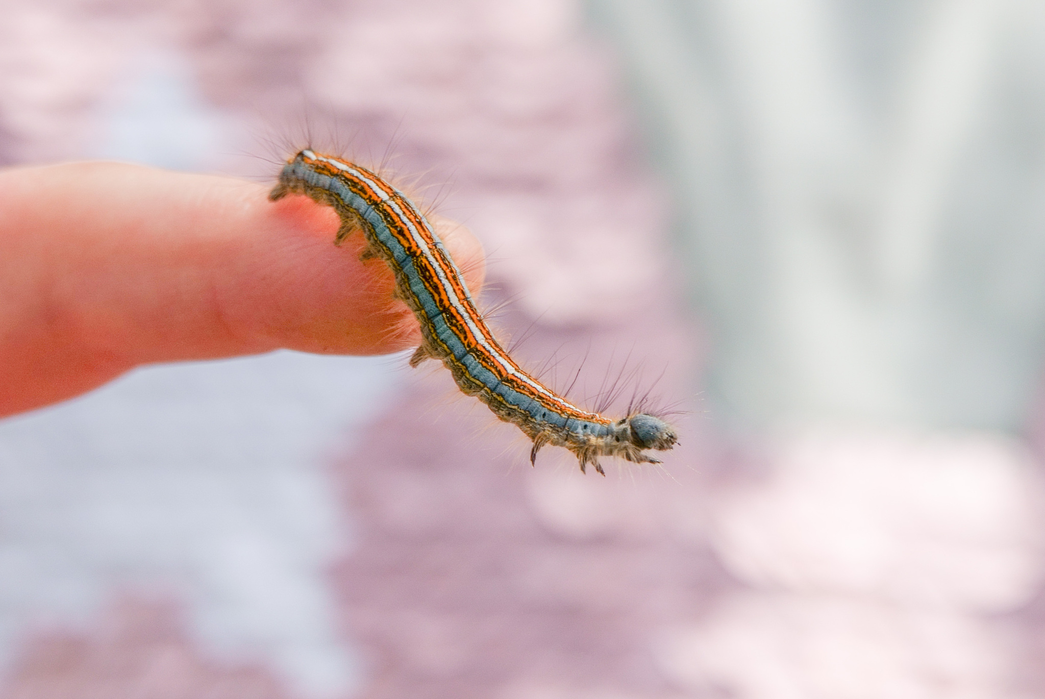 一位即将毕业的大学生所写的毕业论文重复率太高需要降低重复率请用中文改写以下内容改写后的内容与原内容保持很低的重复率：从文化创意的角度入手分析了目前临沂ip设计存在的问题和发展现状并研究了文化创意与城市ip形象设计之间的关系。