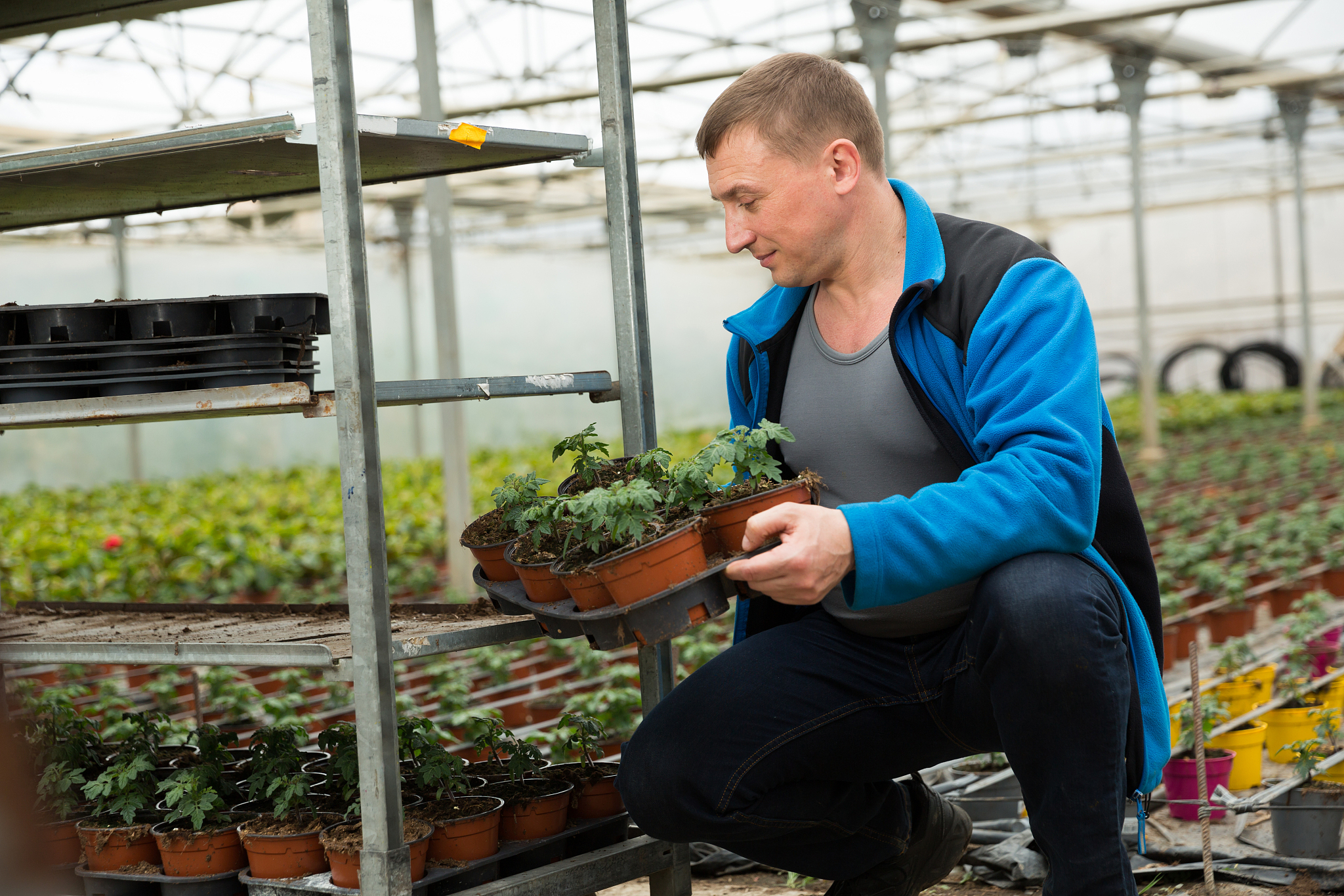 广西农业职业技术学院农产品质量检测专业怎么样