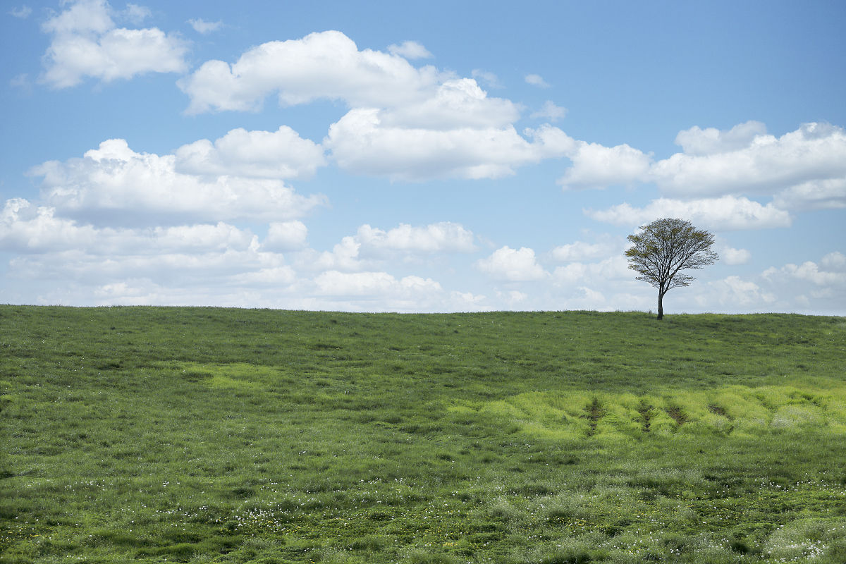 写一首诗主题风
