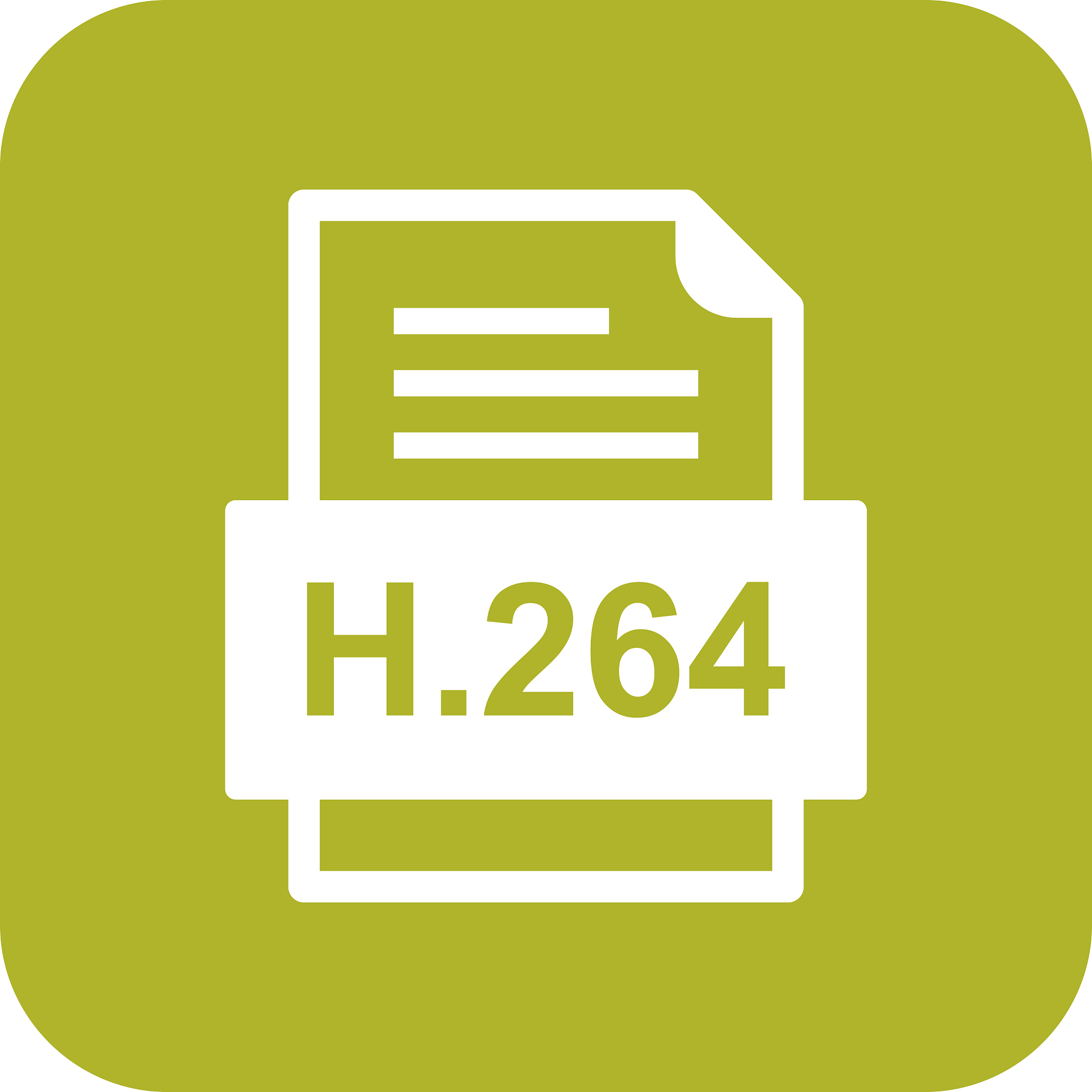 h264 file document icon